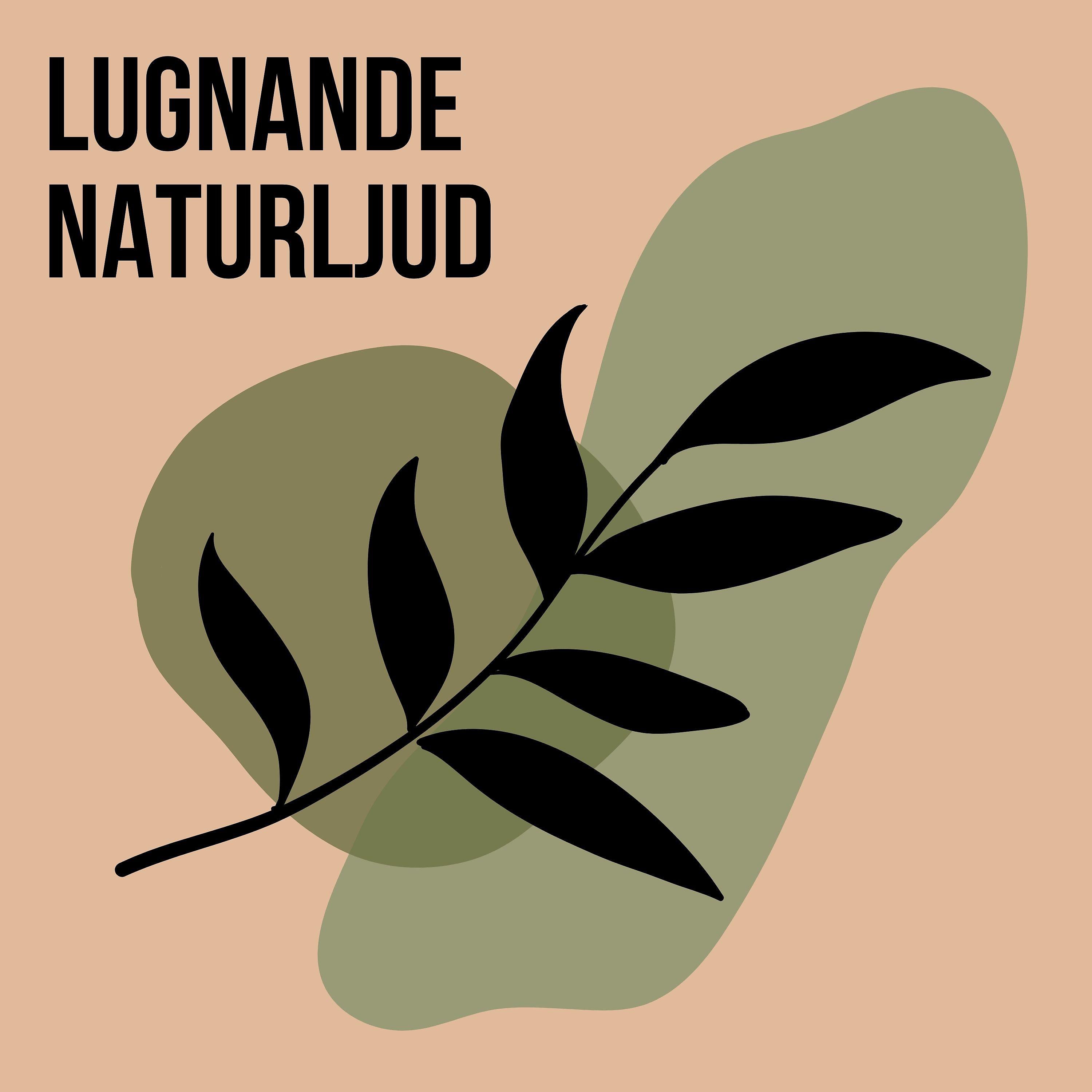 Постер альбома Lugnande naturljud