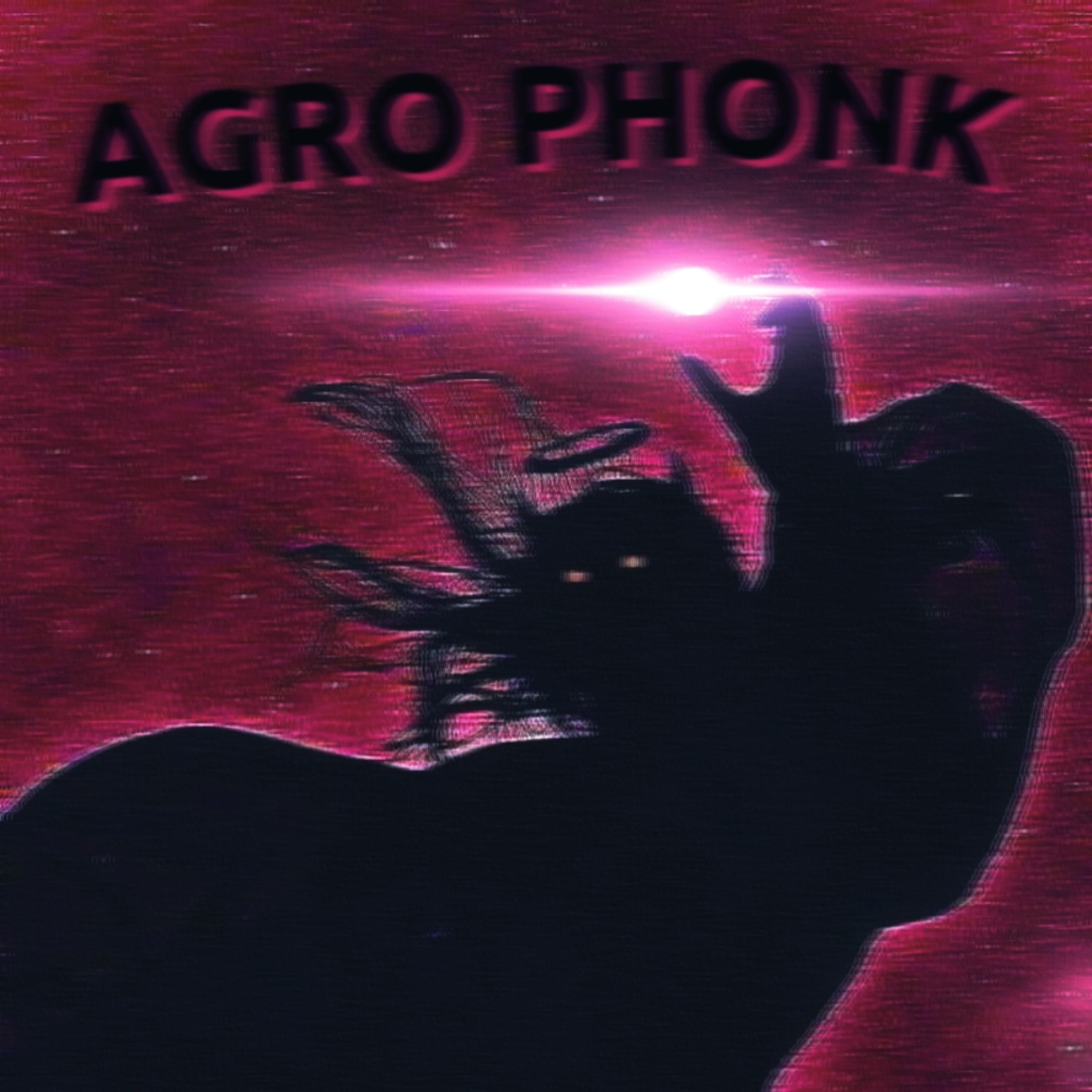 Постер альбома AGRO PHONK