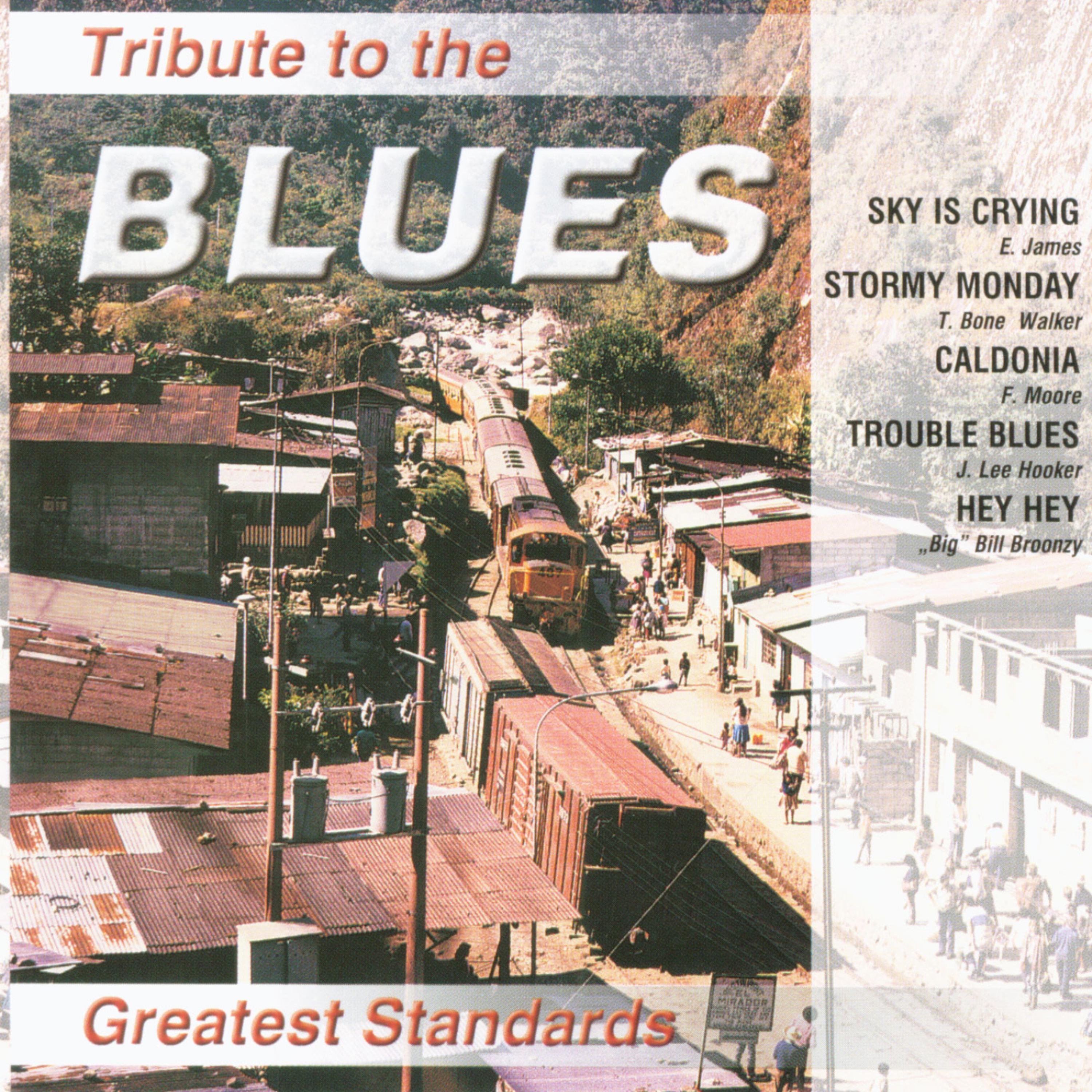 Постер альбома Tribute to the Blues