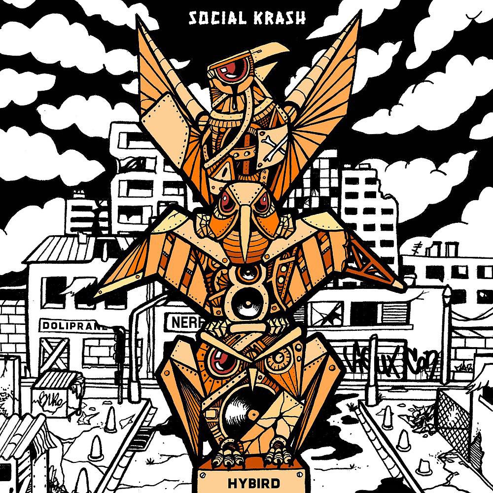 Постер альбома Social krash