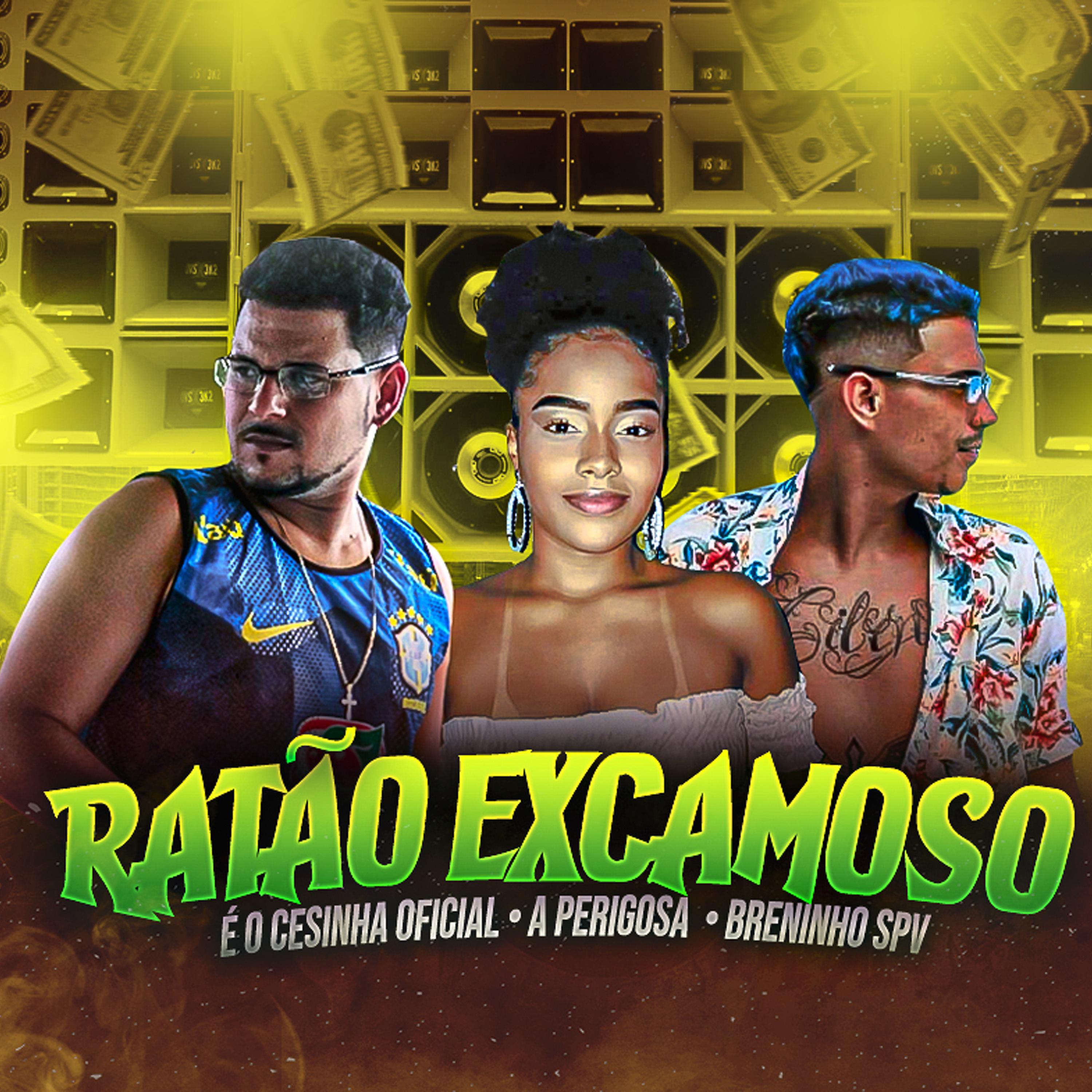 Постер альбома Ratão Excamoso