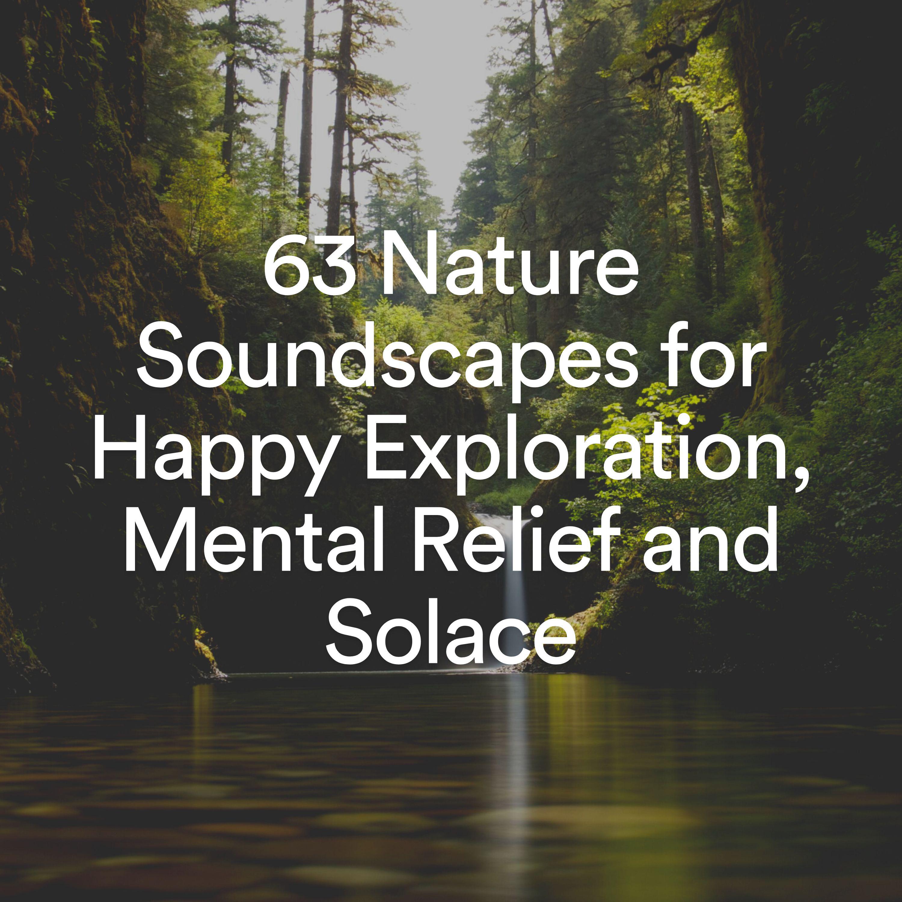 Постер альбома 63 Nature Soundscapes for Happy Exploration, Mental Relief and Solace
