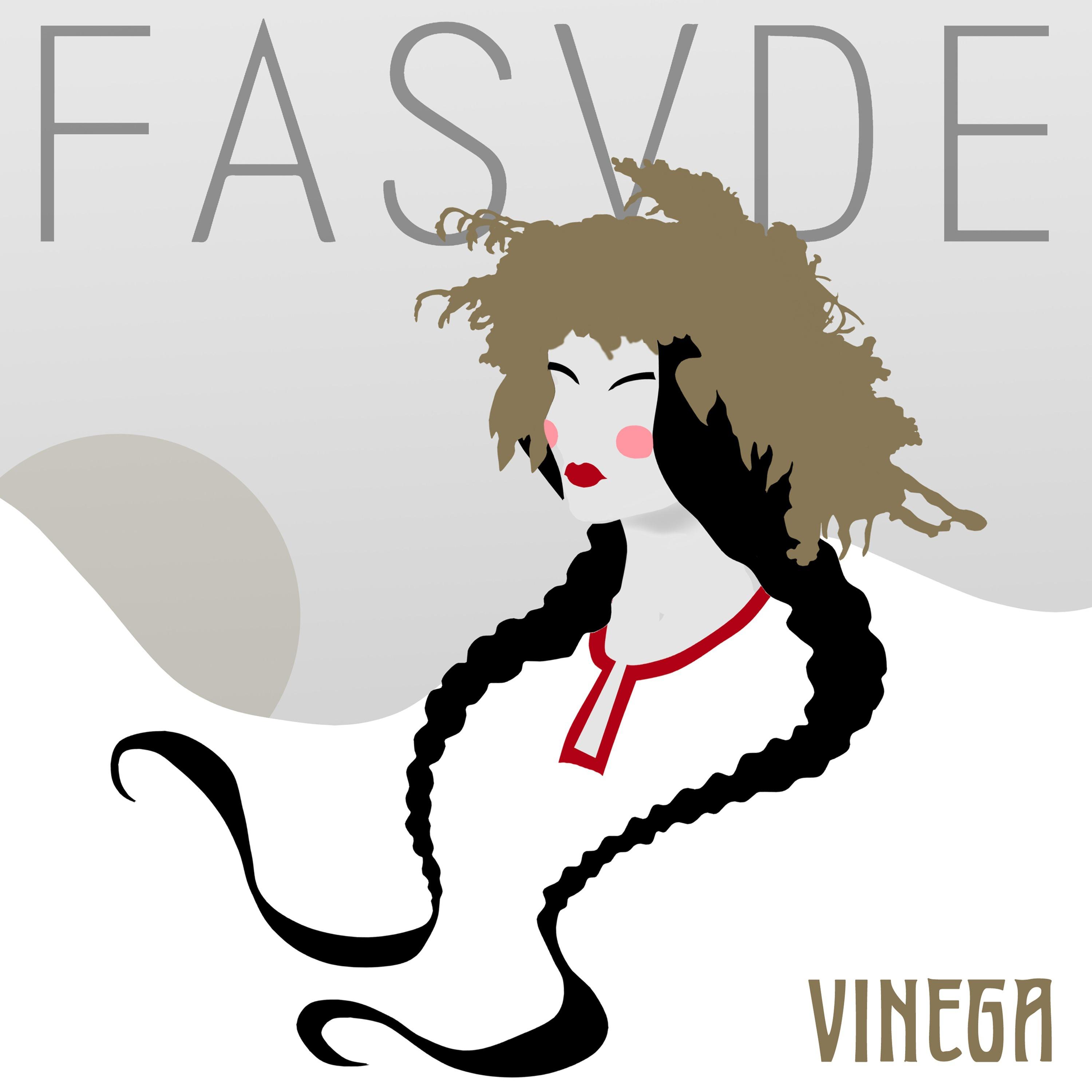 Постер альбома Vinega