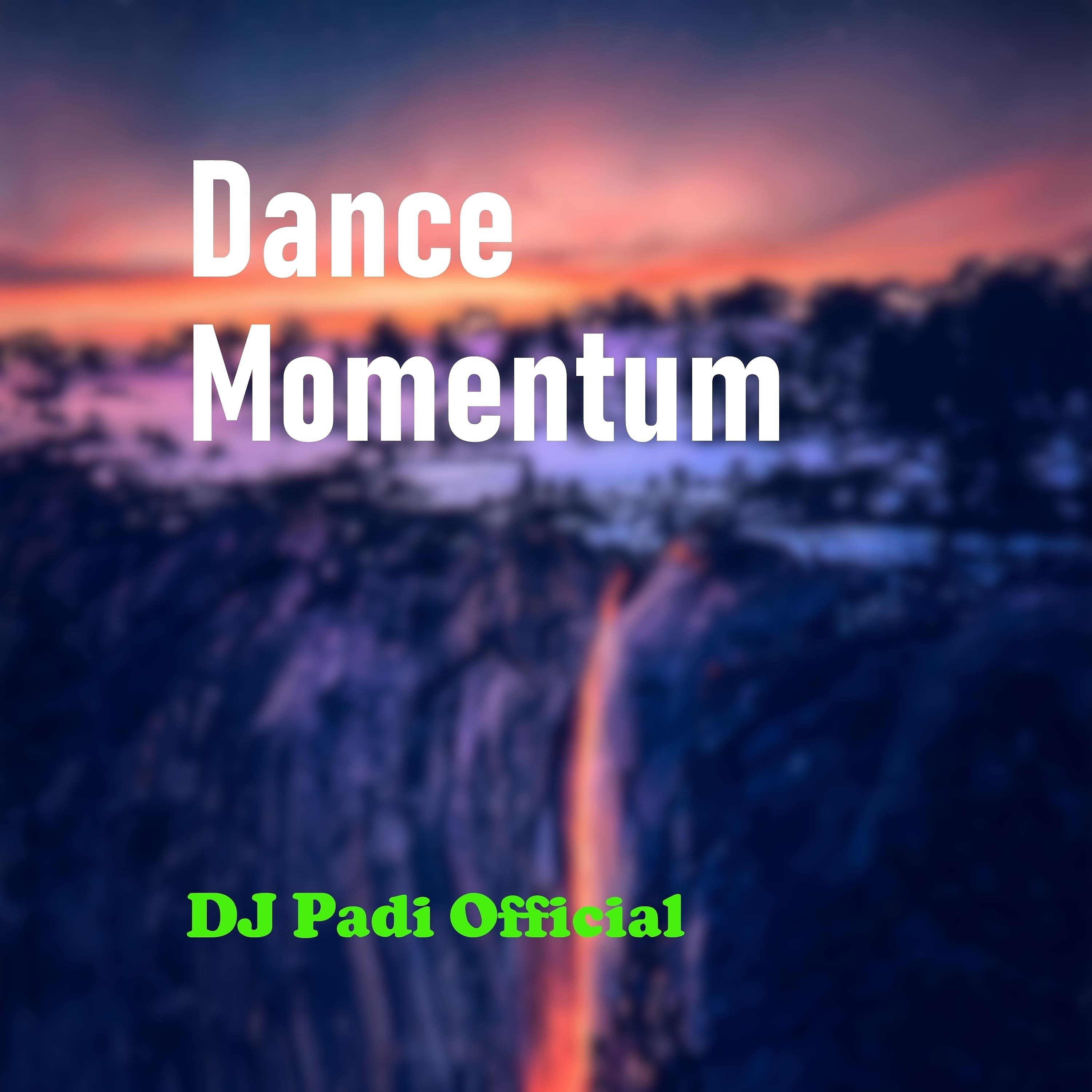 Постер альбома Dance Momentum
