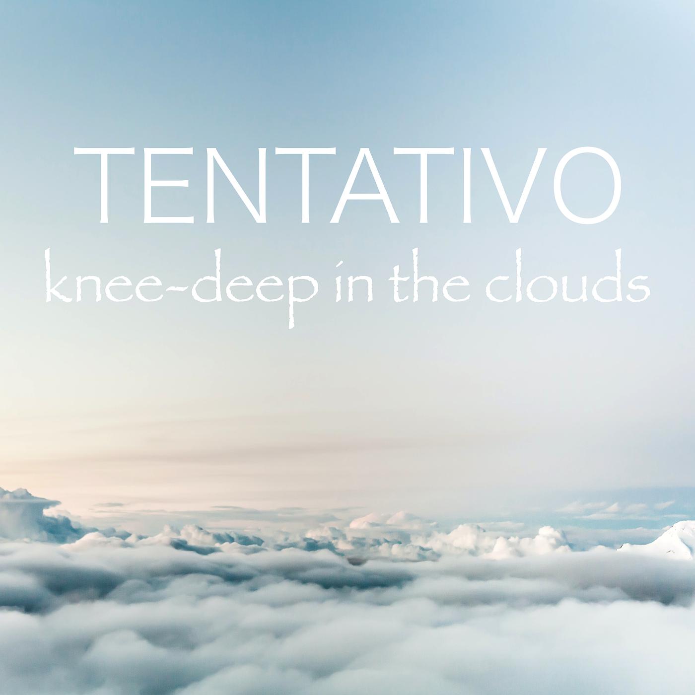 Постер альбома Knee-Deep in the Clouds