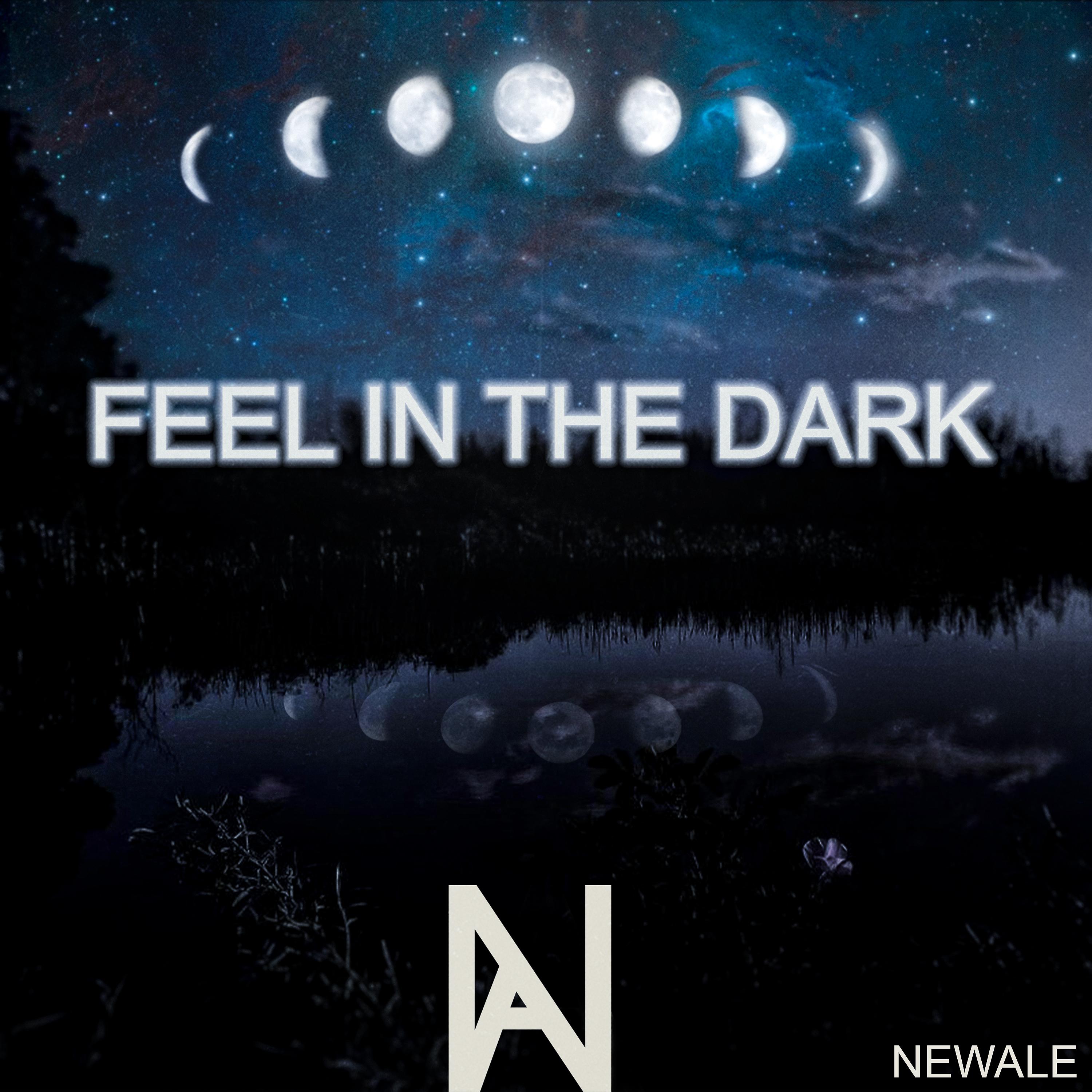 Постер альбома Feel in the Dark