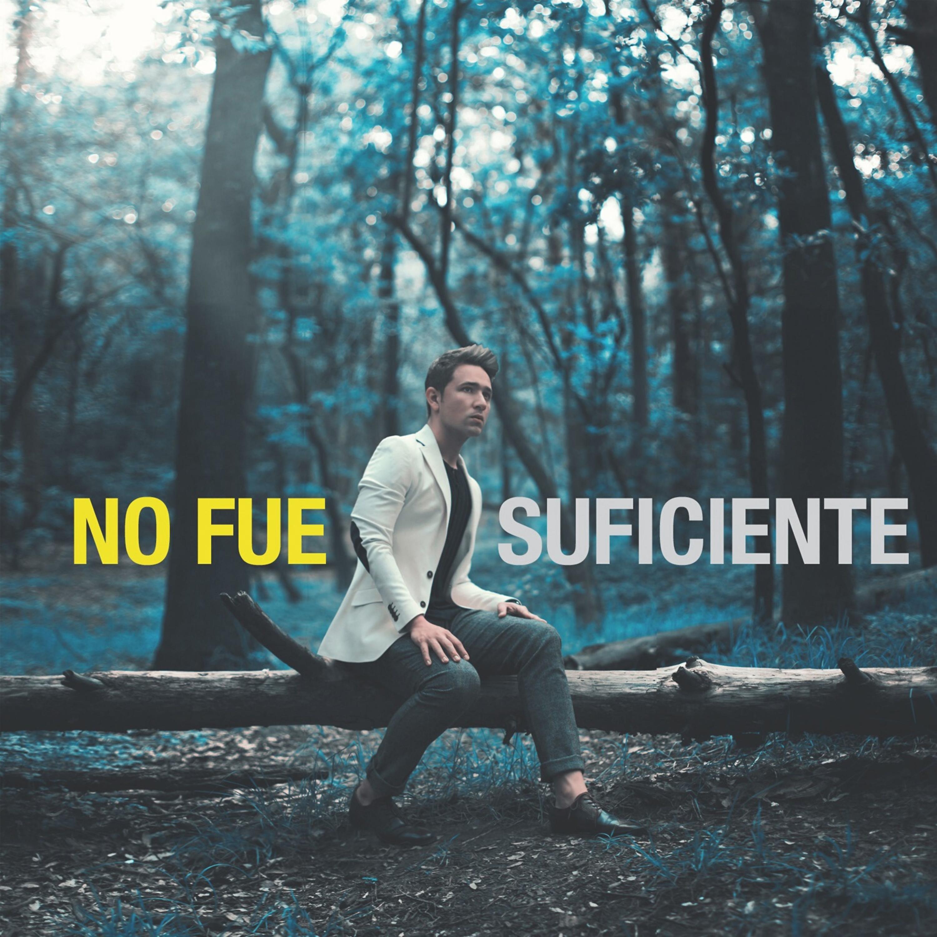 Постер альбома No Fue Suficiente