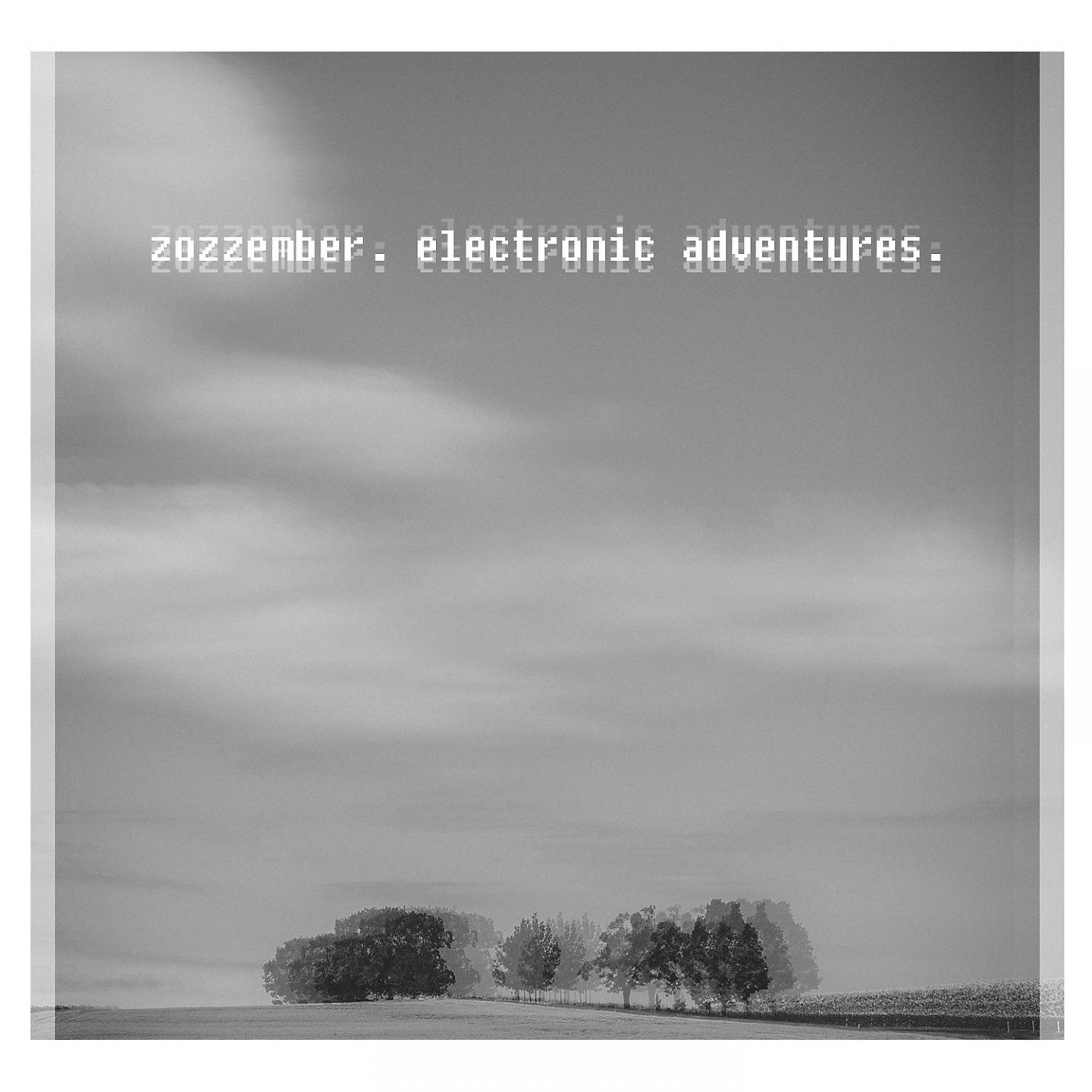 Постер альбома Electronic Adventures