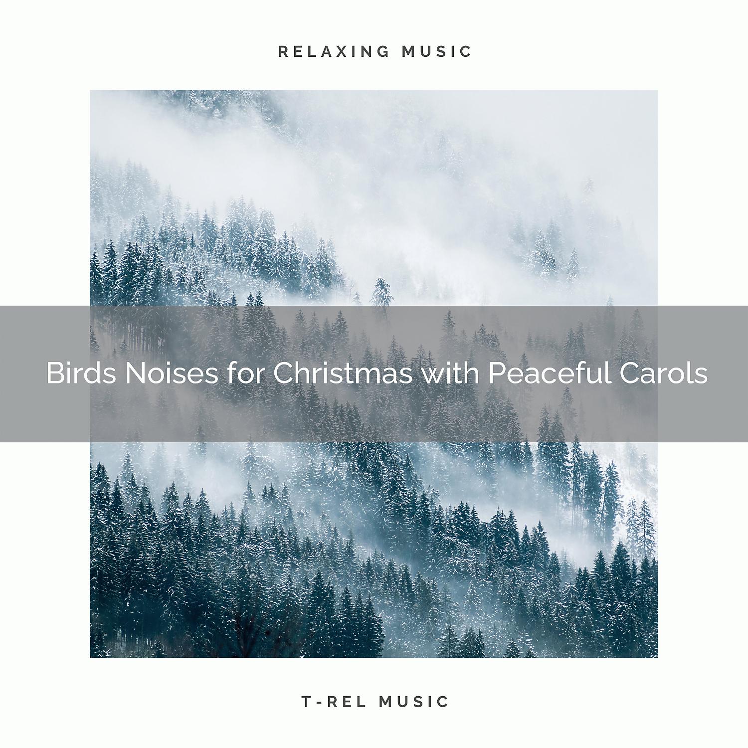 Постер альбома Birds Noises for Christmas with Peaceful Carols
