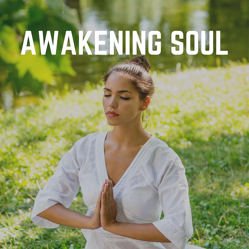 Постер альбома Awakening Soul