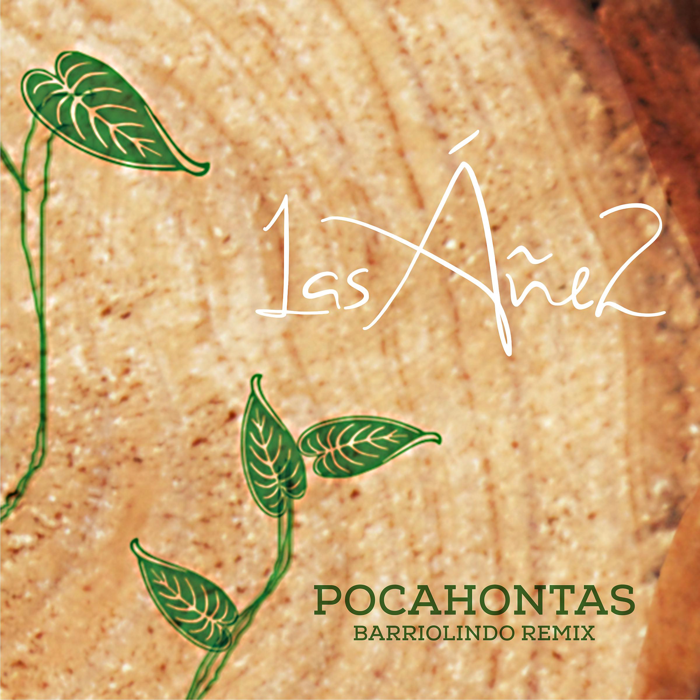 Постер альбома Pocahontas (Barrio Lindo Remix)