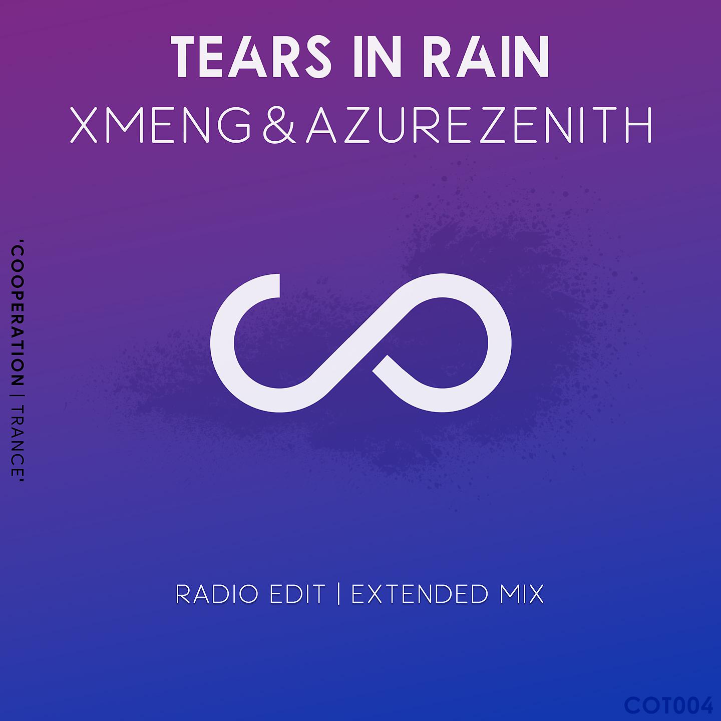 Постер альбома Tears In Rain