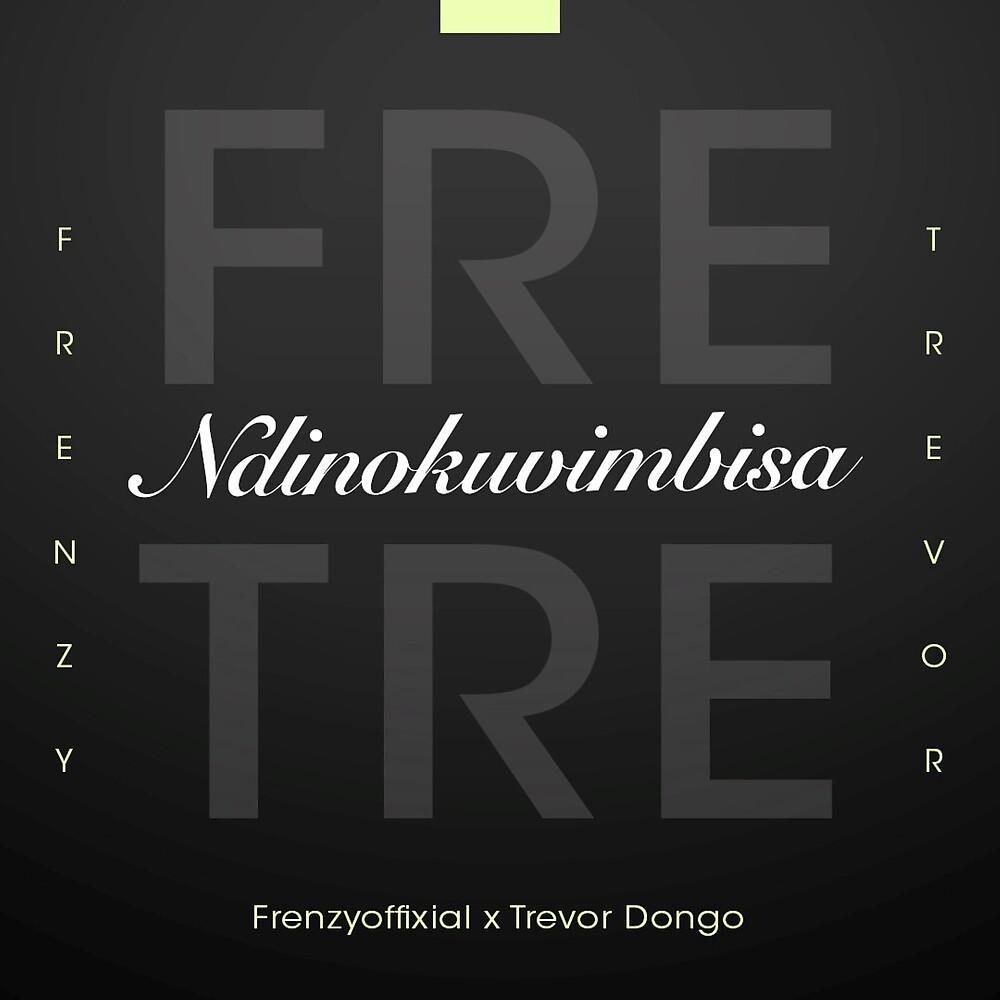 Постер альбома Ndinokuvimbisa