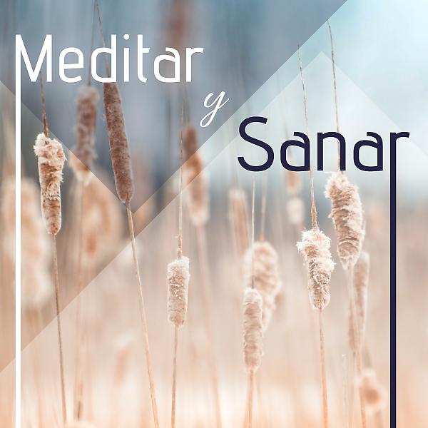 Постер альбома Meditar y Sanar - 20 Canciones Ejercicios de Meditación, Relajación y Yoga