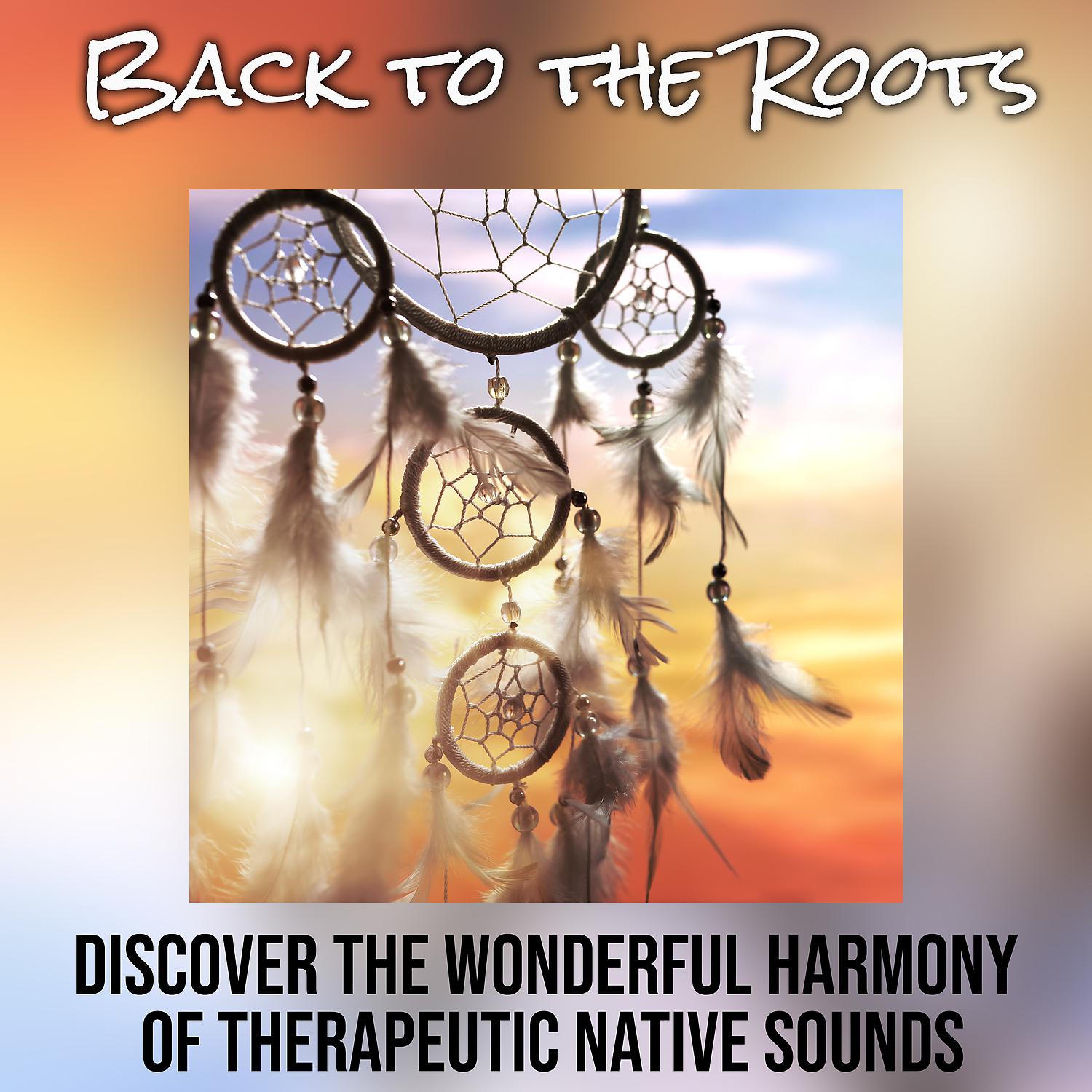 Постер альбома Back to the Roots: Discover the Wonderful Harmony of Therapeutic Native Sounds