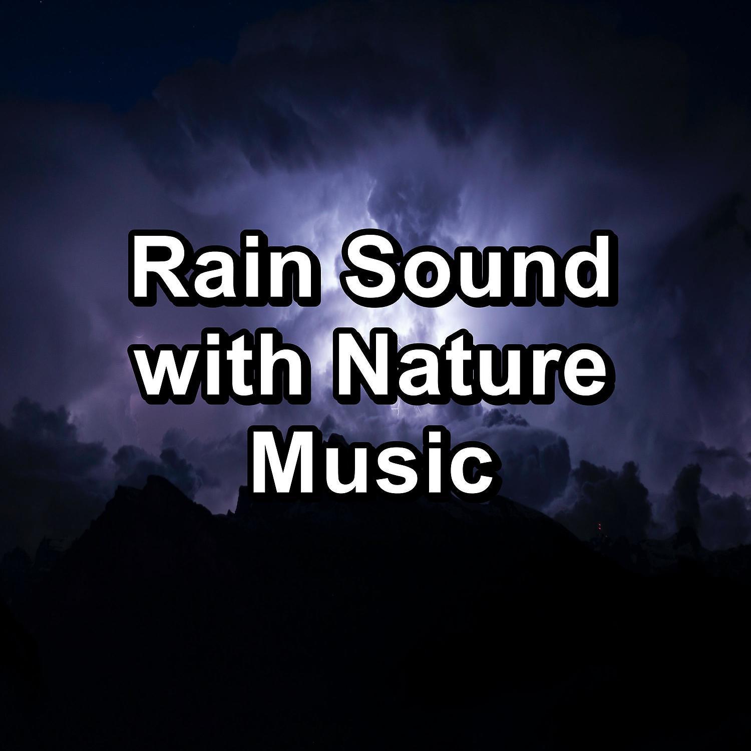 Постер альбома Rain Sound with Nature Music