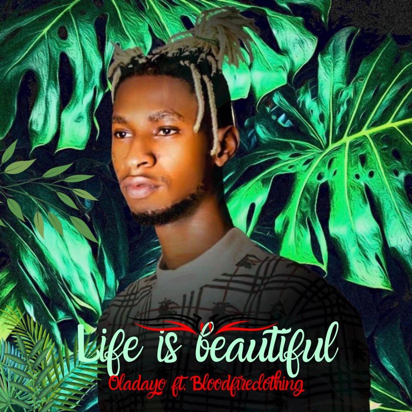 Постер альбома Life is Beautiful