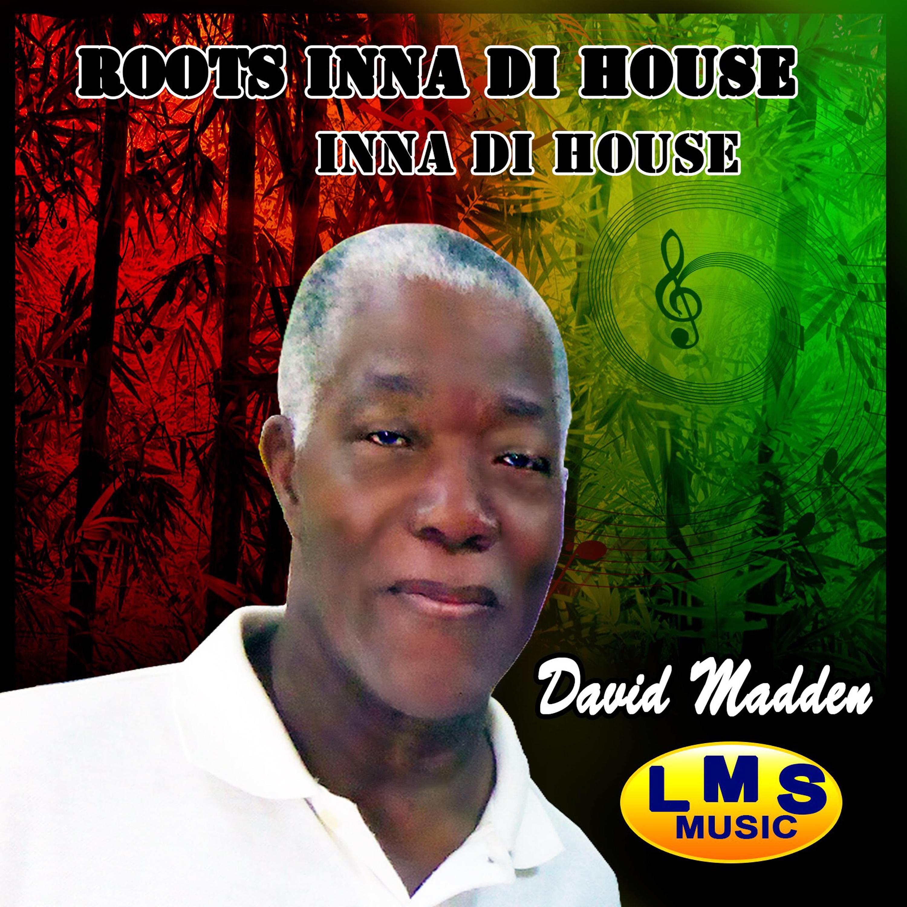 Постер альбома Roots Inna Di House