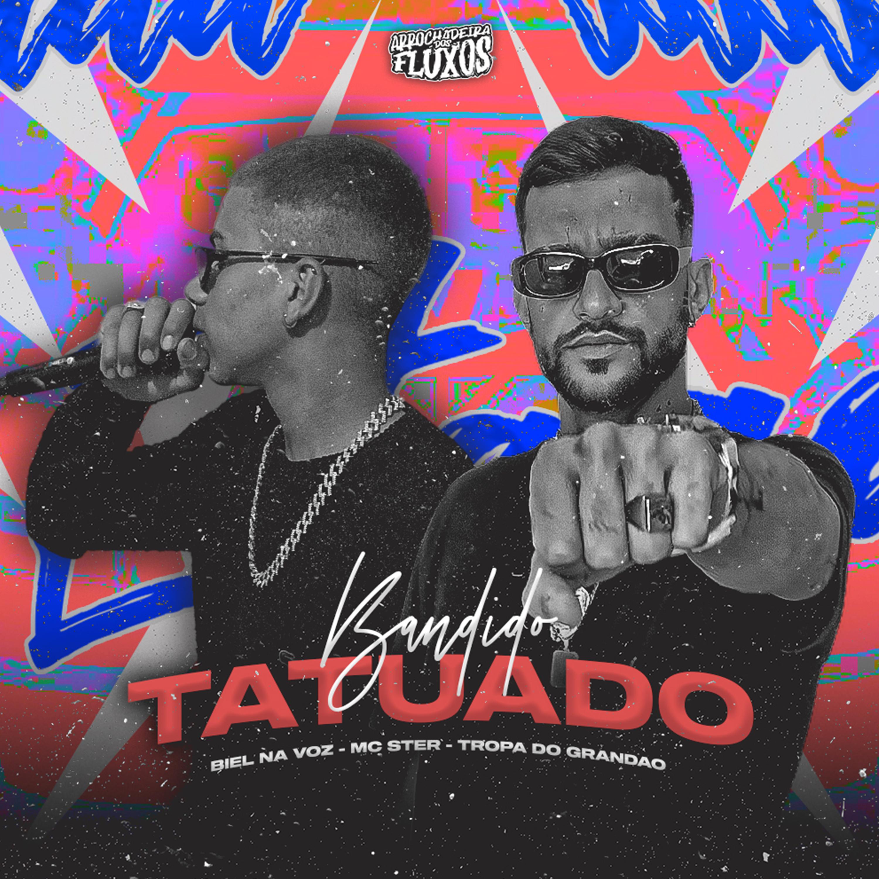 Постер альбома Bandido Tatuado