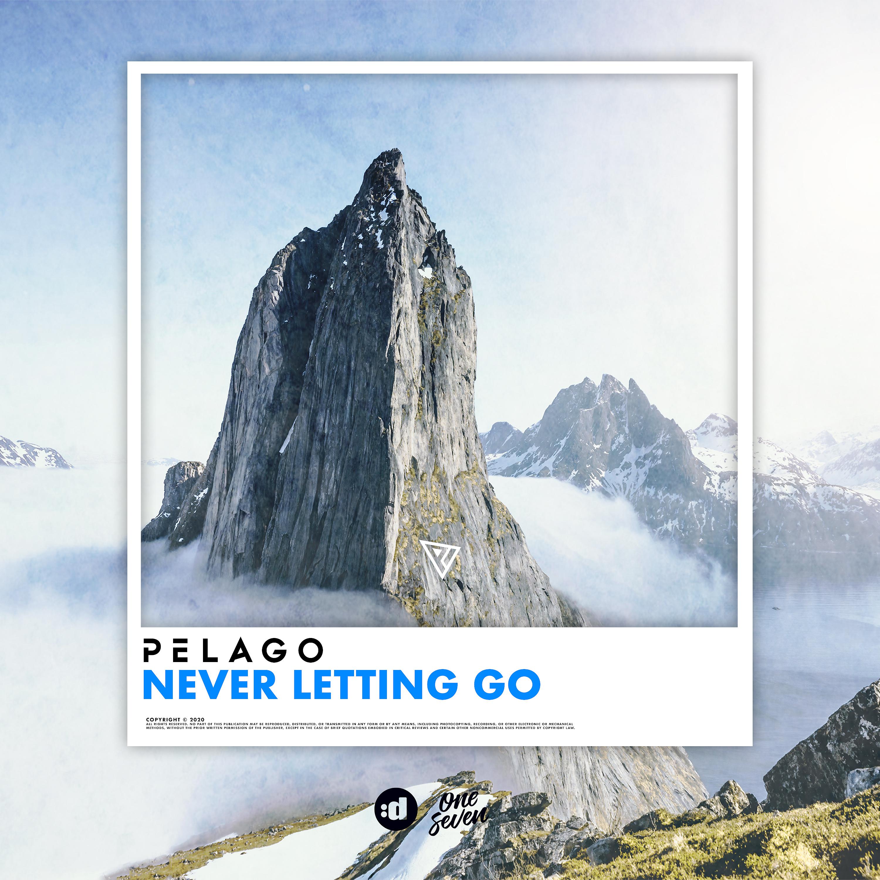 Постер альбома Never Letting Go