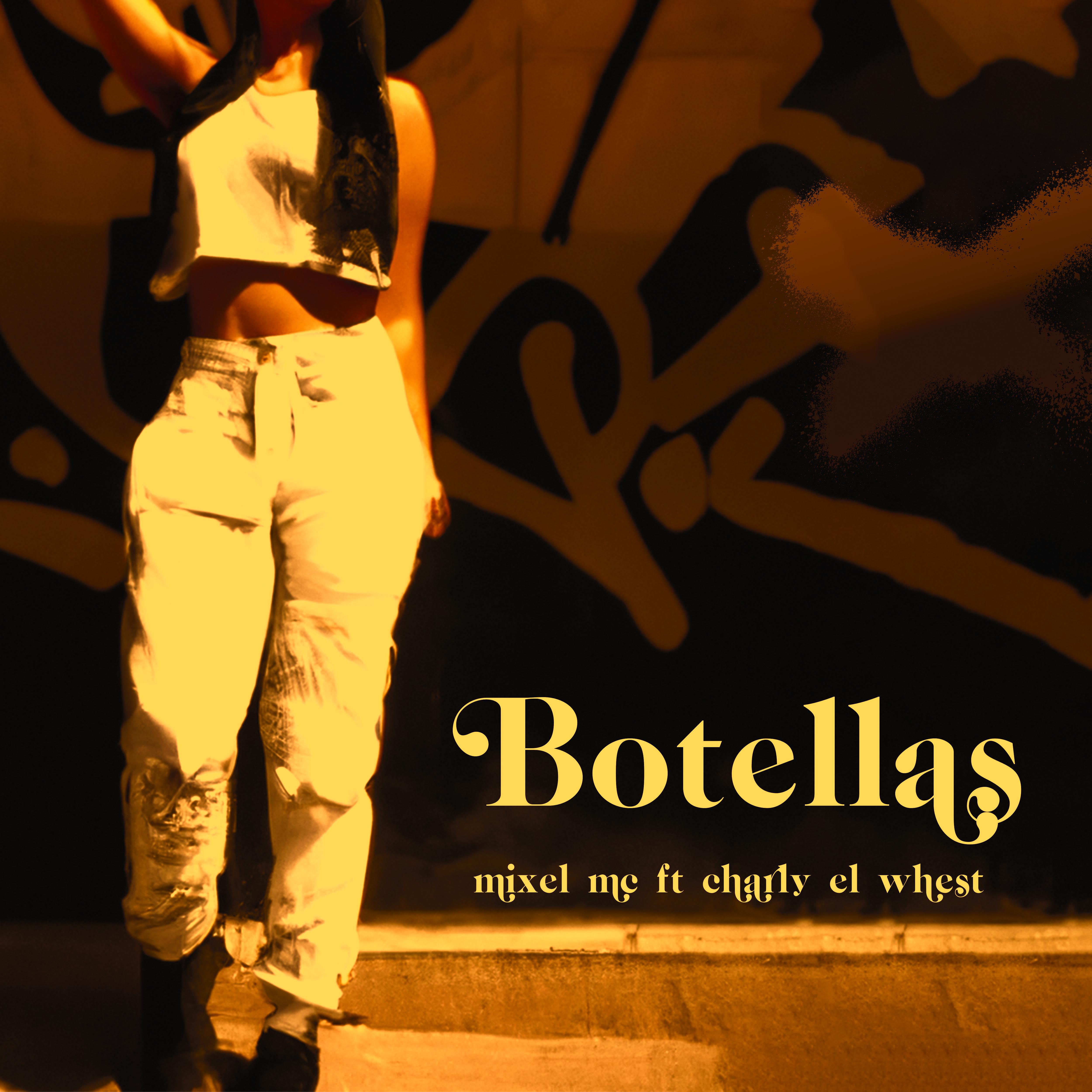 Постер альбома Botellas (feat. Charly El Whest)