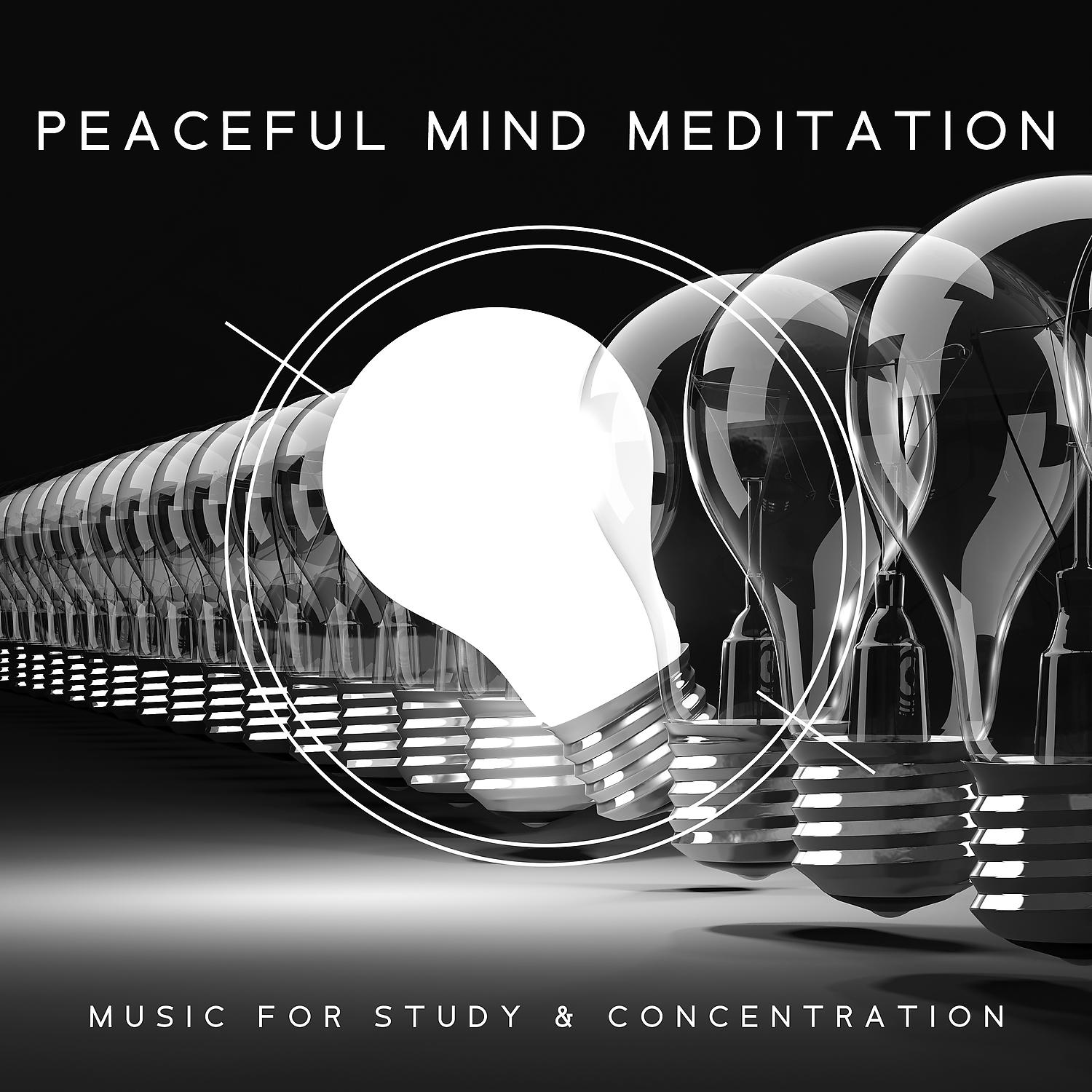 Постер альбома Peaceful Mind Meditation - Music for Study & Concentration: Exam Study, Increase Brain Power, Relaxing Studying, Concentration Improve, Better Learning, Beautiful Minds, Yoga for Brain