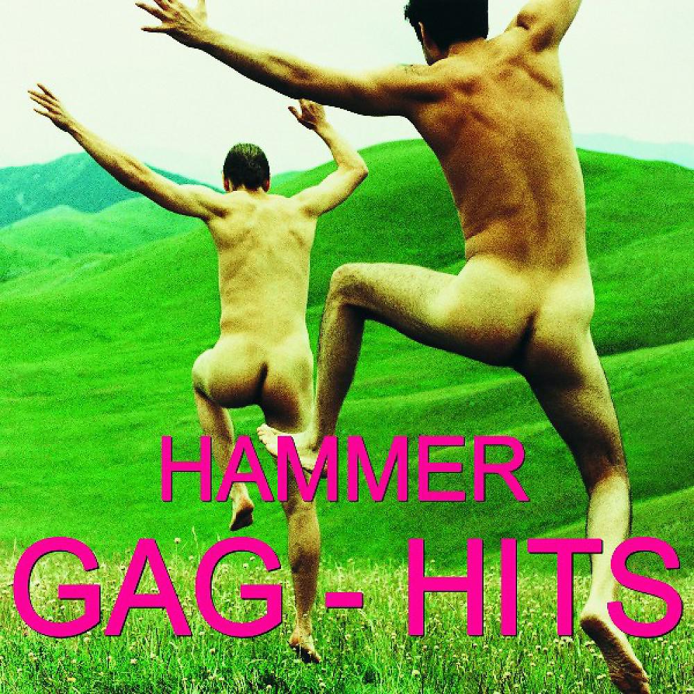 Постер альбома Hammer Gag Hits - Ndw - Party