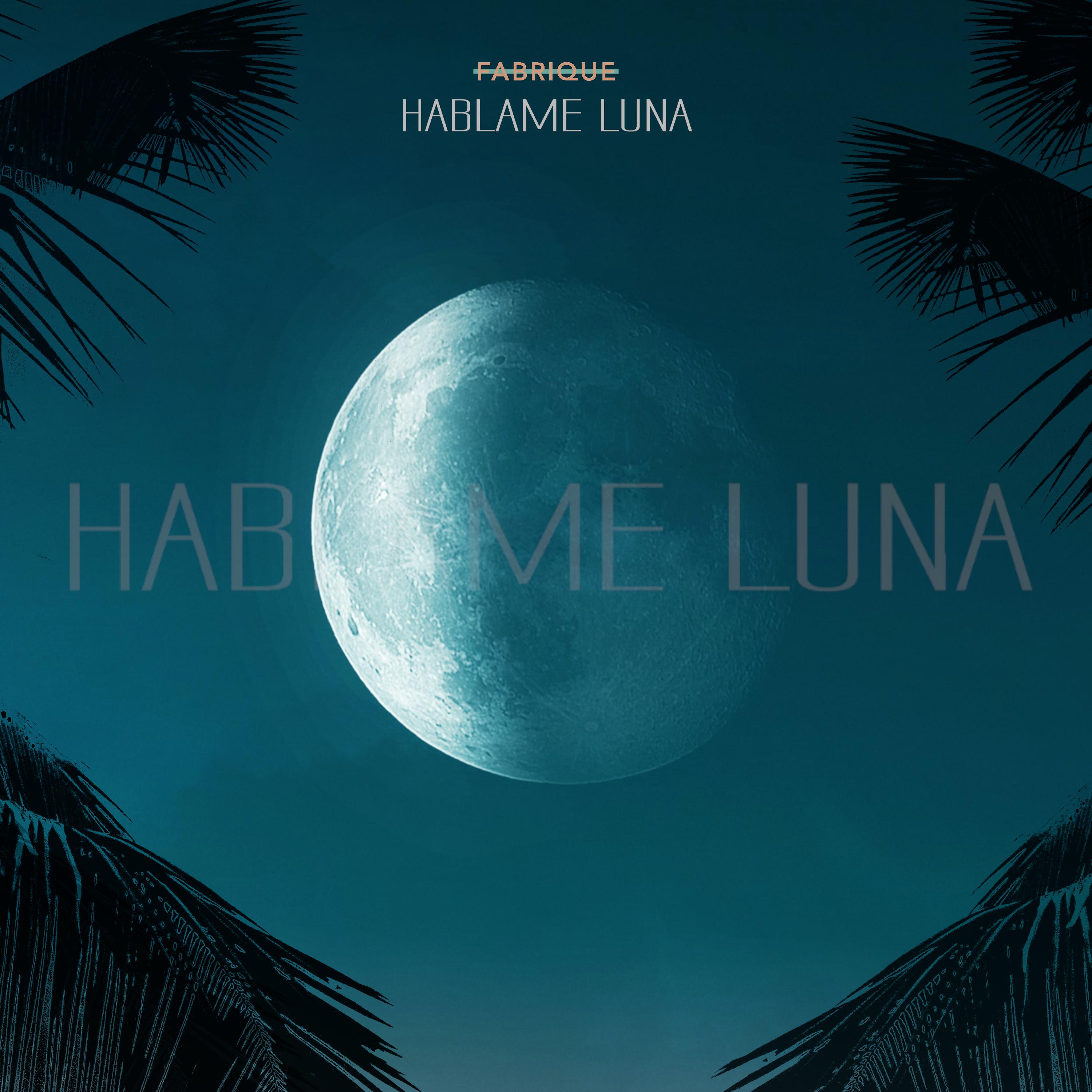 Постер альбома Hablame Luna