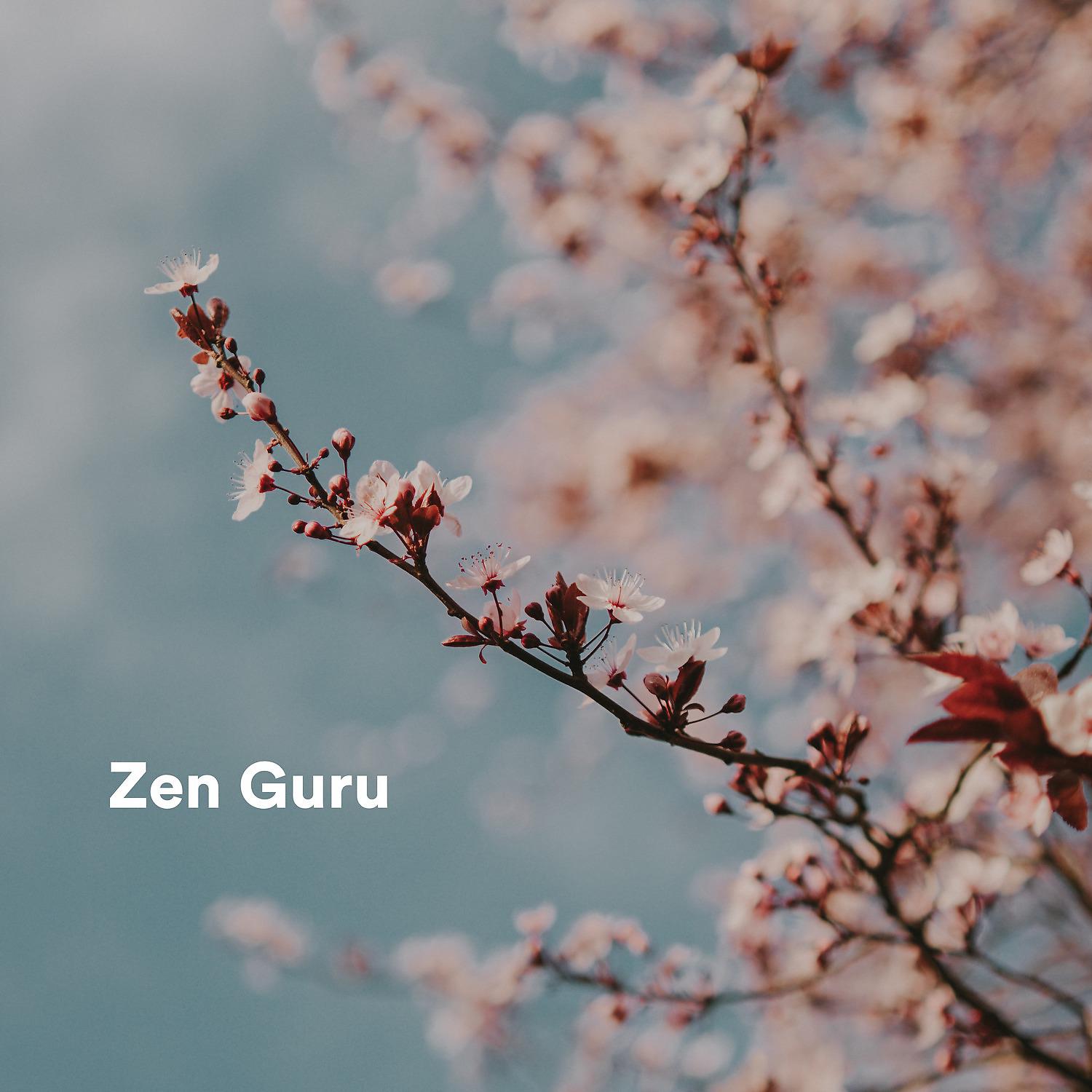 Постер альбома Zen Guru