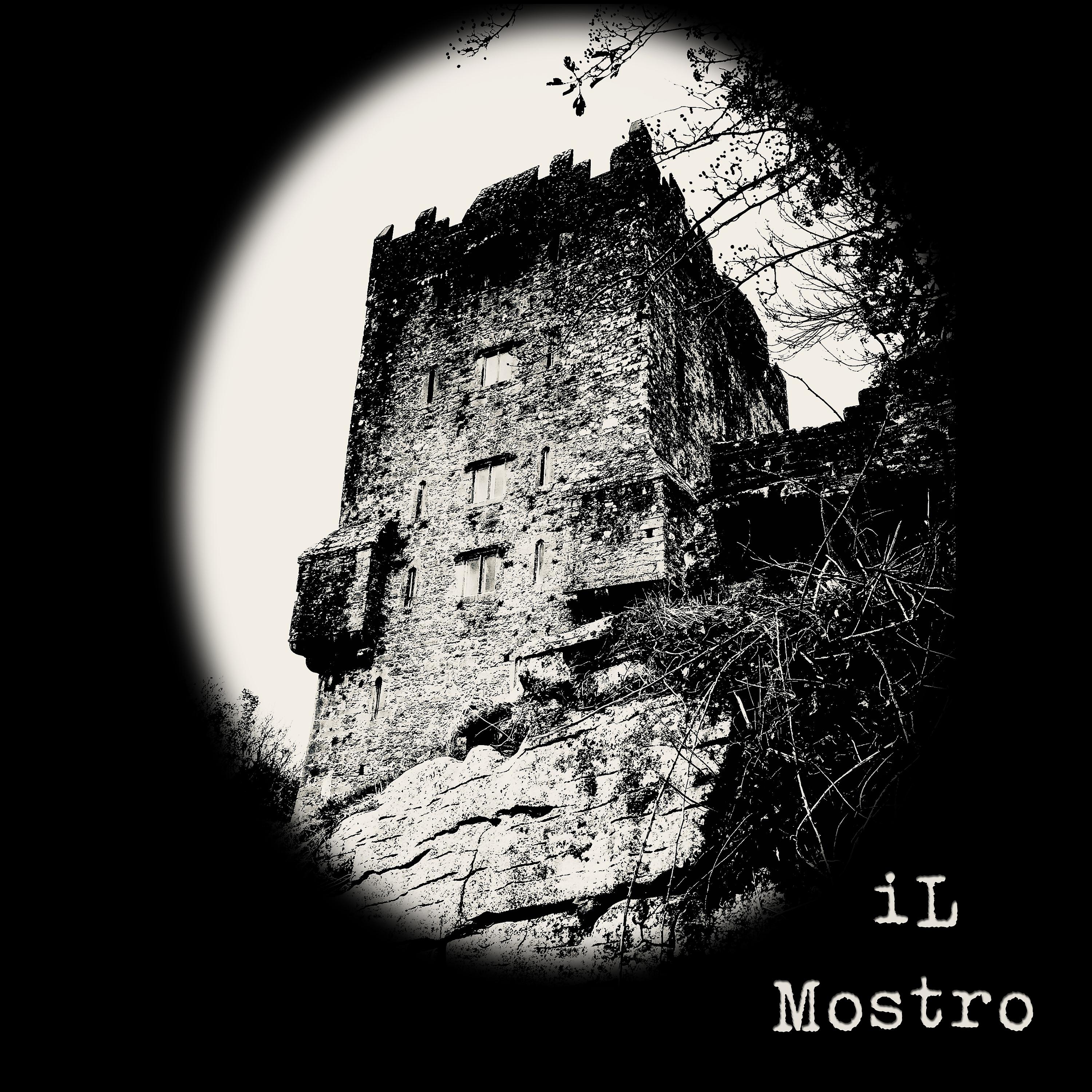 Постер альбома Il Mostro