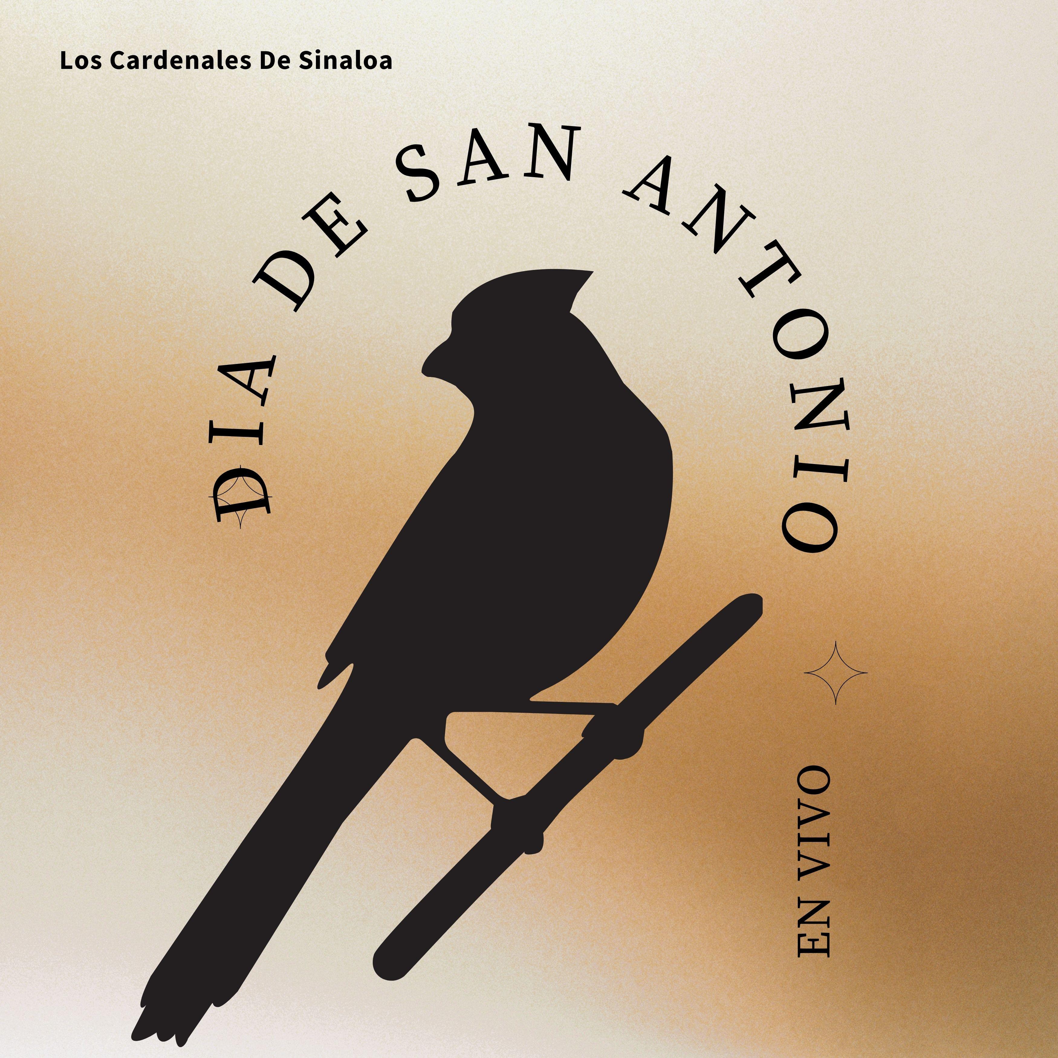 Постер альбома Dia de San Antonio