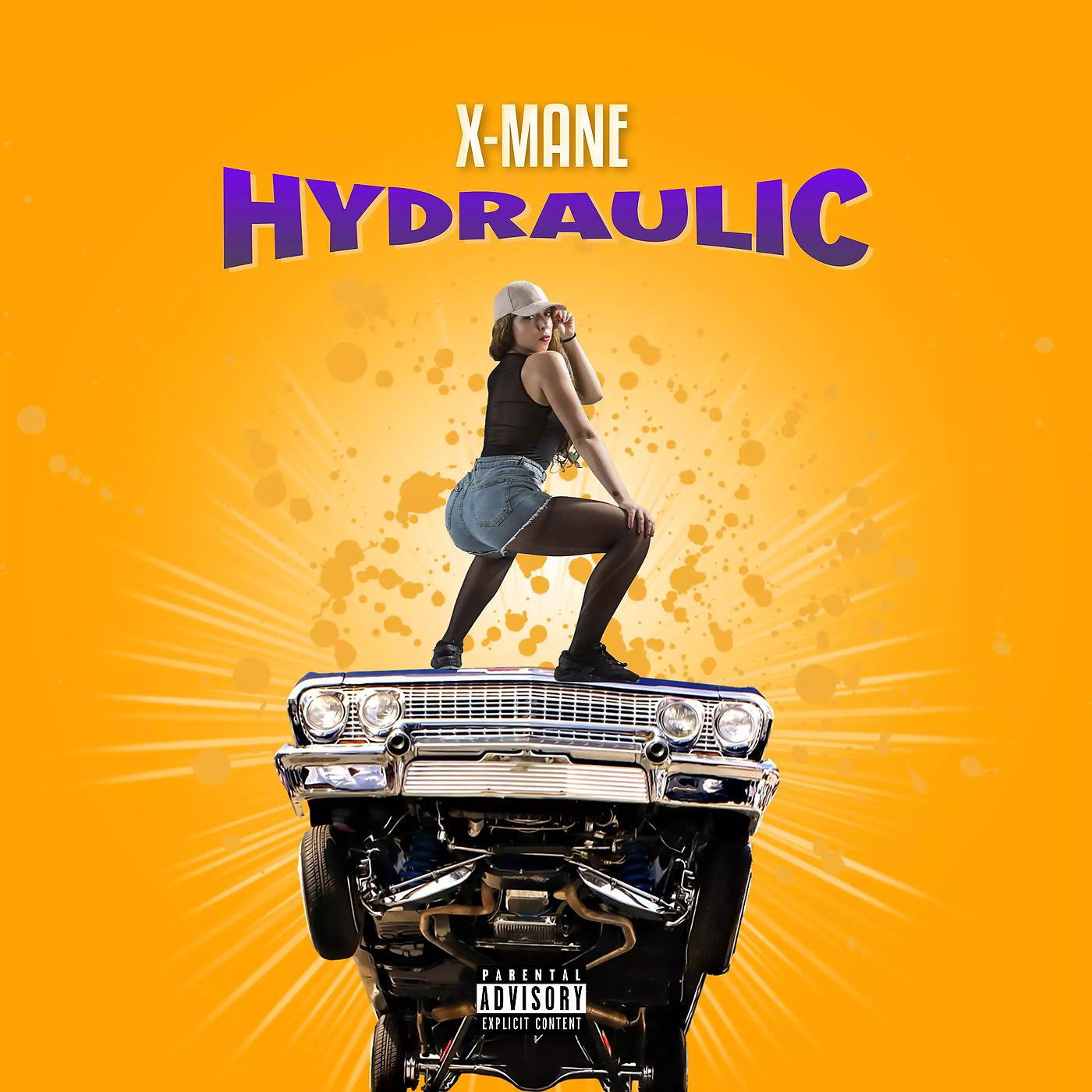 Постер альбома Hydraulic