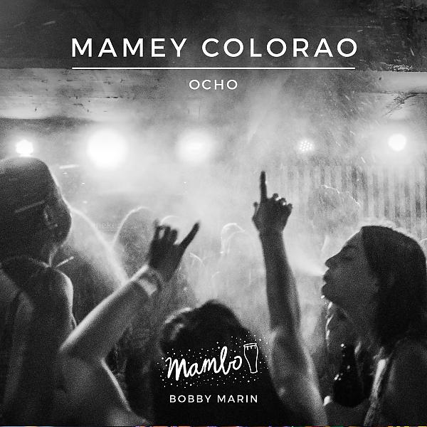 Постер альбома Mamey Colorao (feat. Tito Allen & Chico Mendoza)