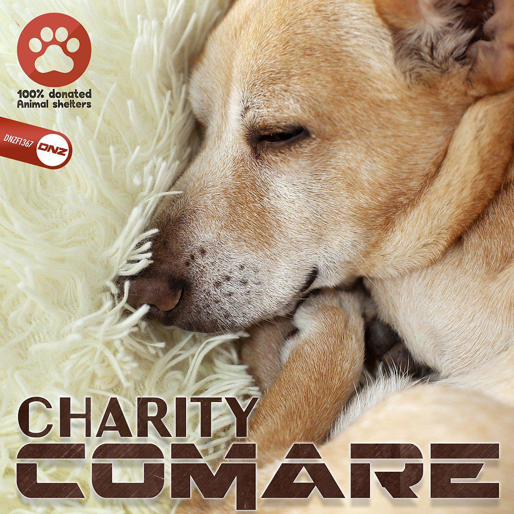 Постер альбома Charity