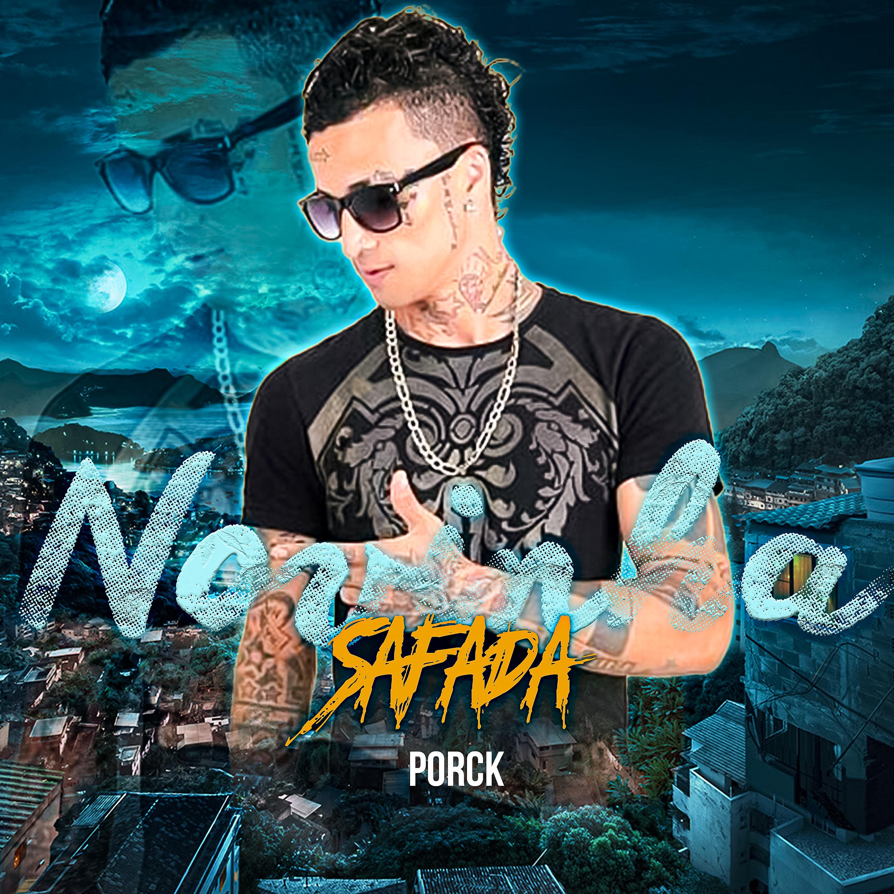 Постер альбома Novinha Safada