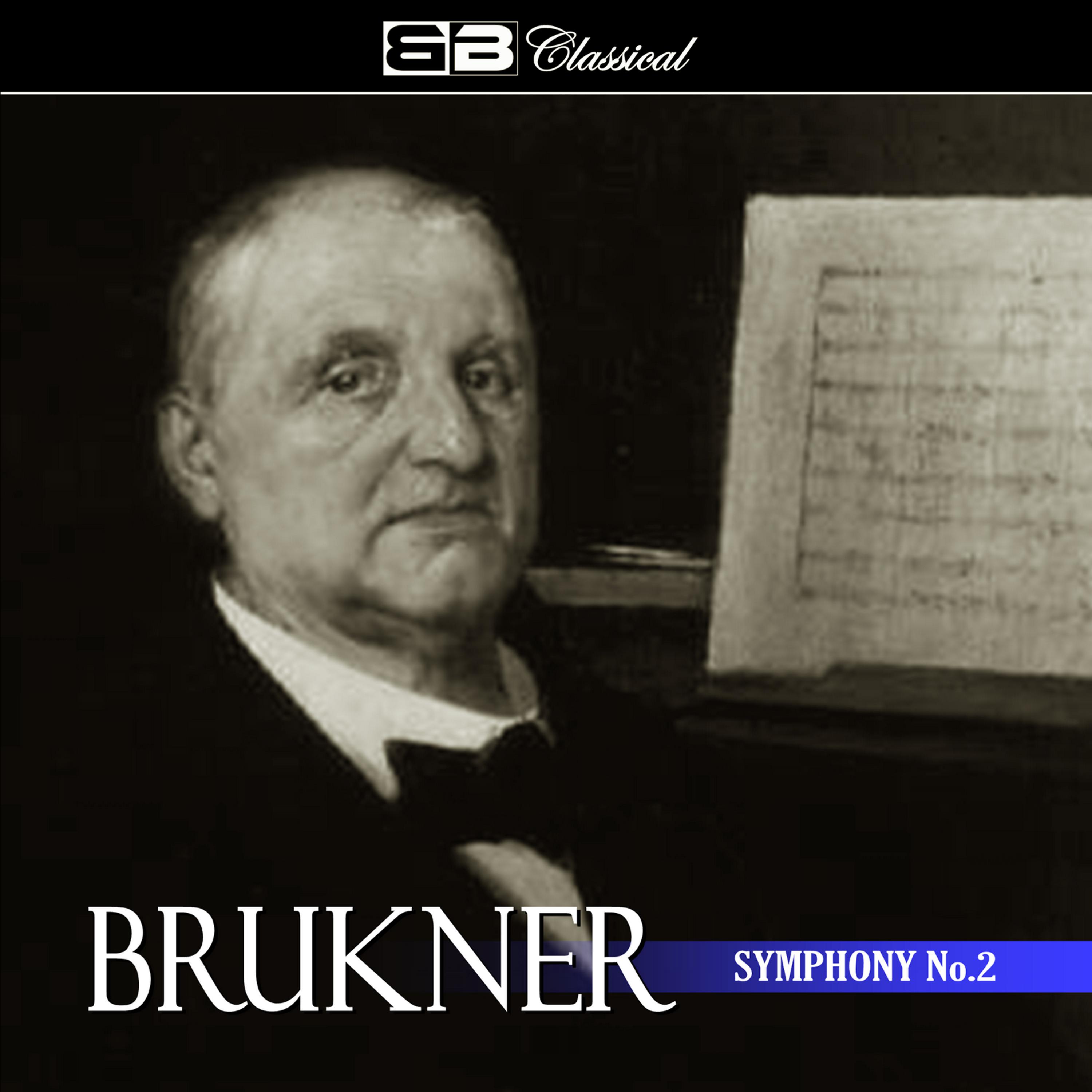 Постер альбома Brukner Symphony No. 0