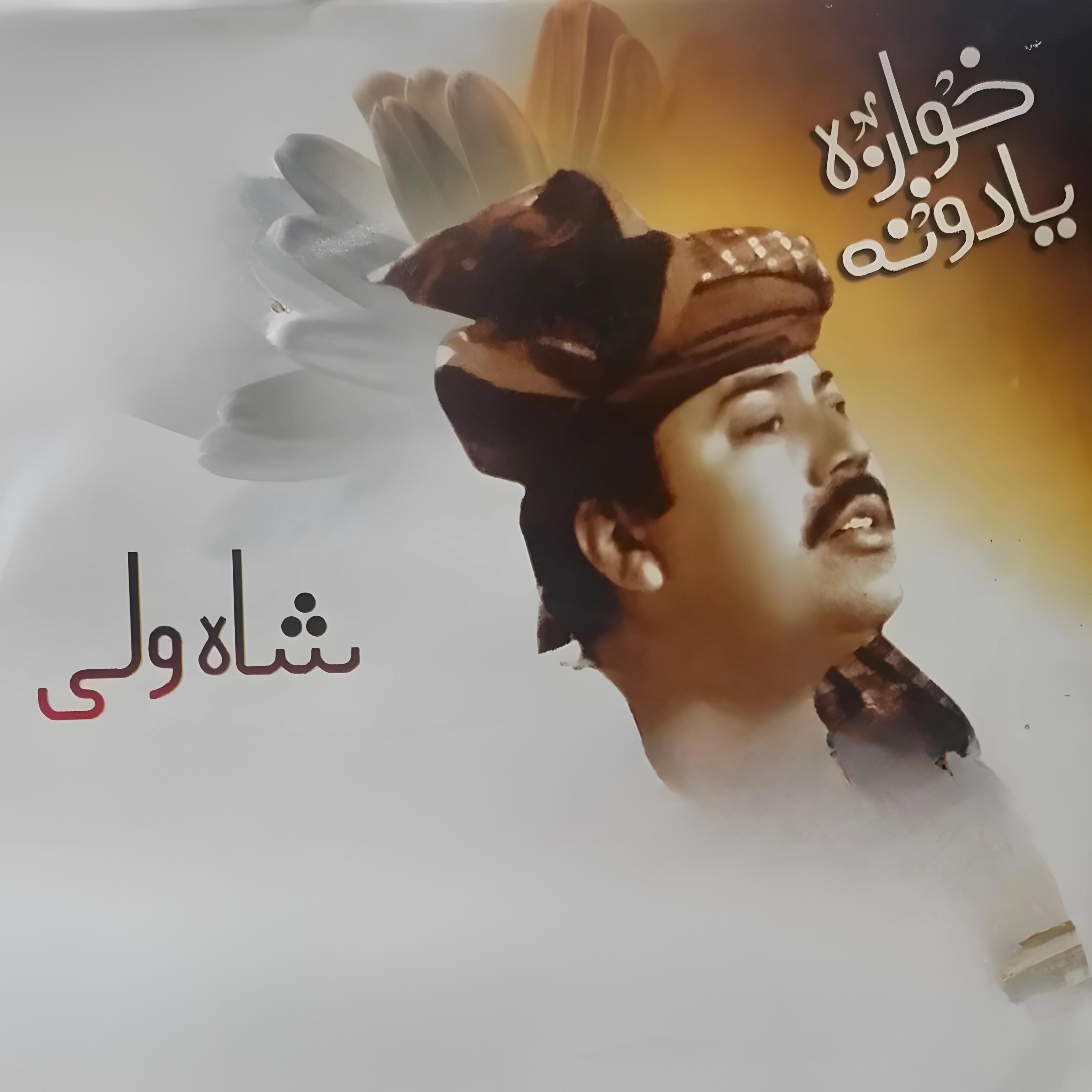 Постер альбома Khwaga Yadoona