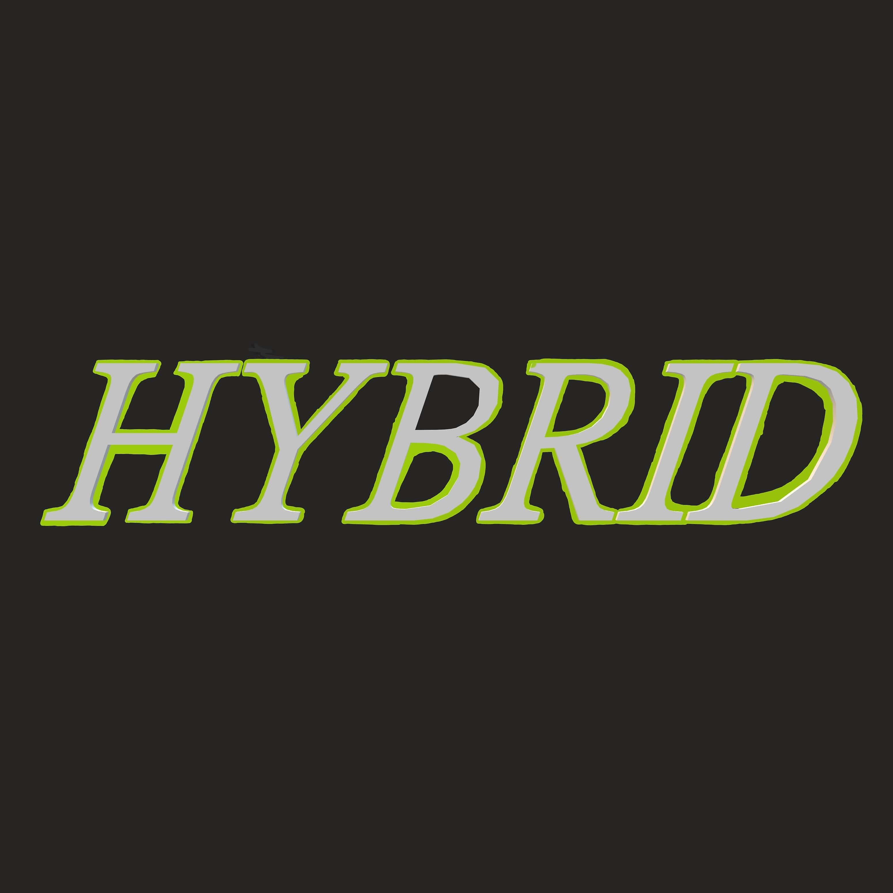 Постер альбома Hybrid