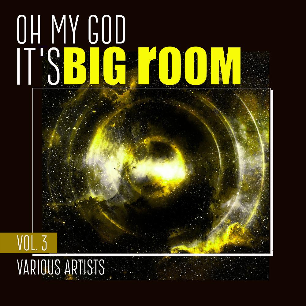 Постер альбома Oh My God It's Big Room, Vol. 3