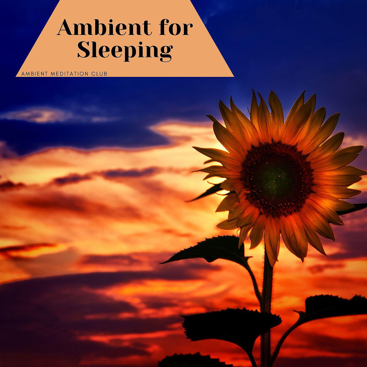 Постер альбома Ambient for Sleeping