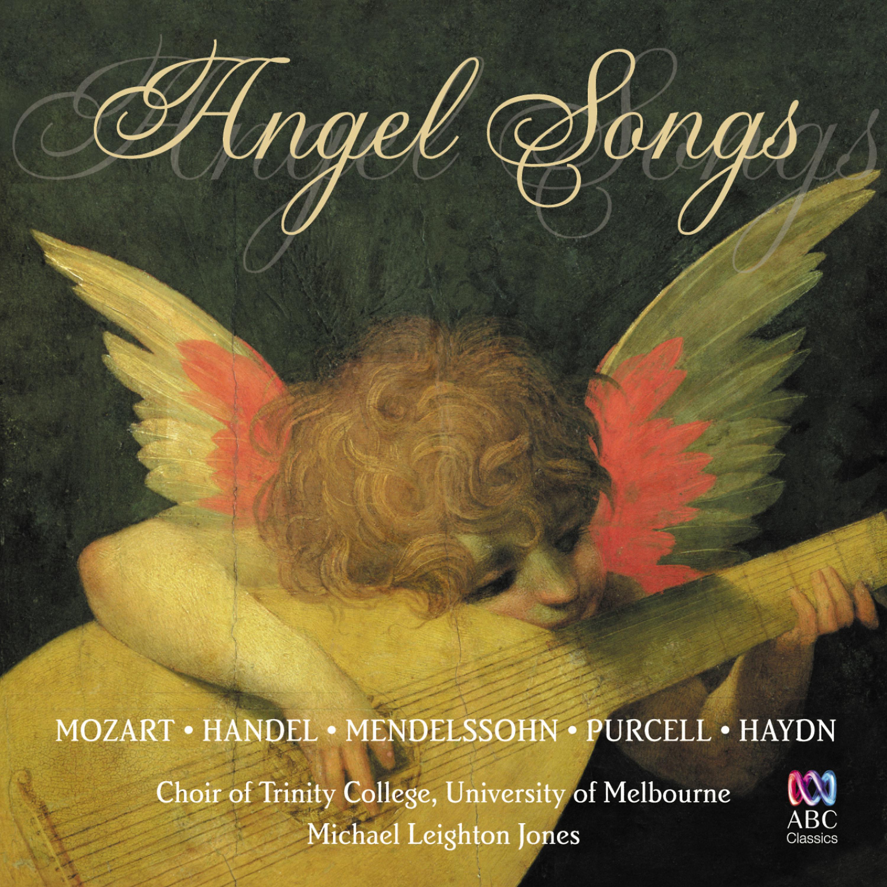 Постер альбома Angel Songs