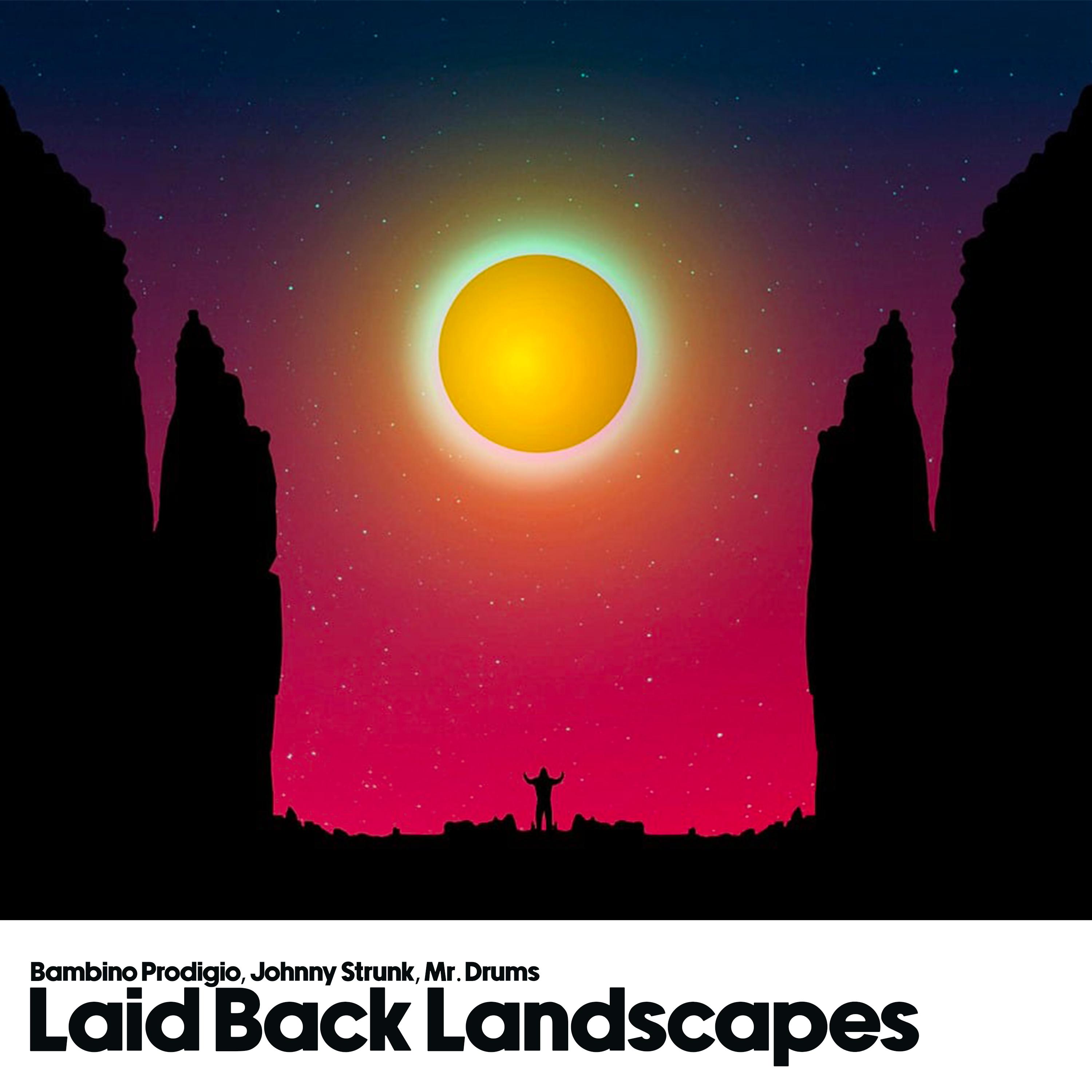 Постер альбома Laid Back Landscapes