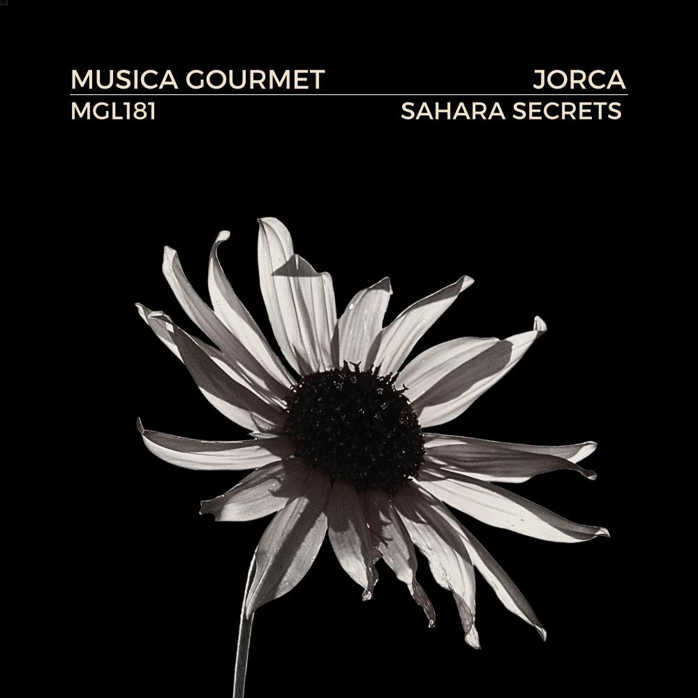 Постер альбома Sahara Secrets
