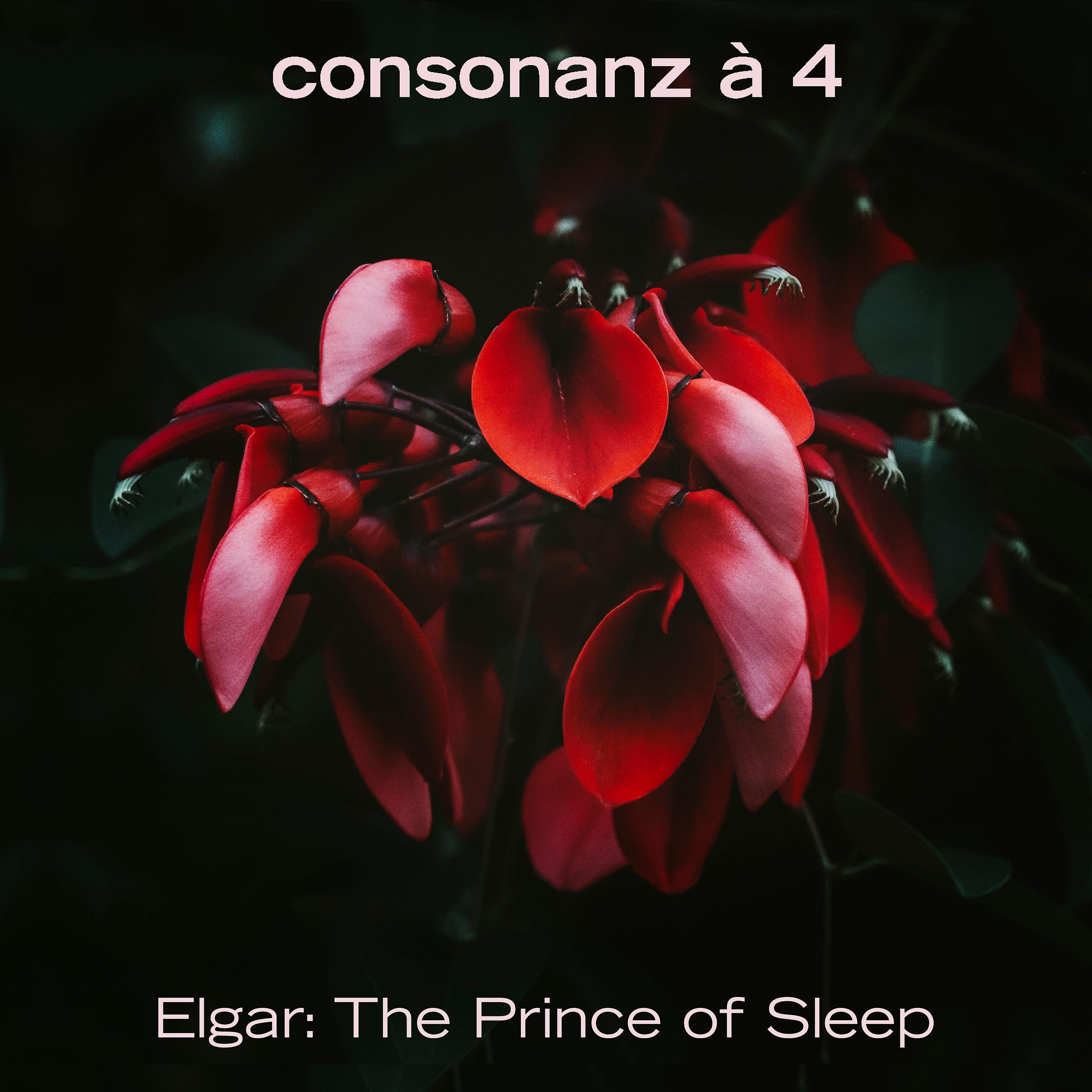 Постер альбома The Prince of Sleep