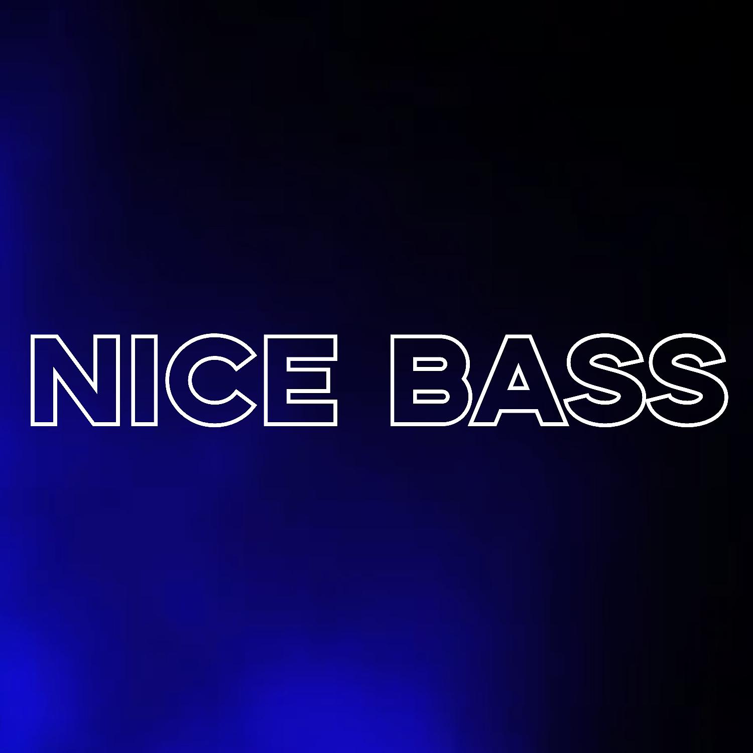 Постер альбома Nice bass