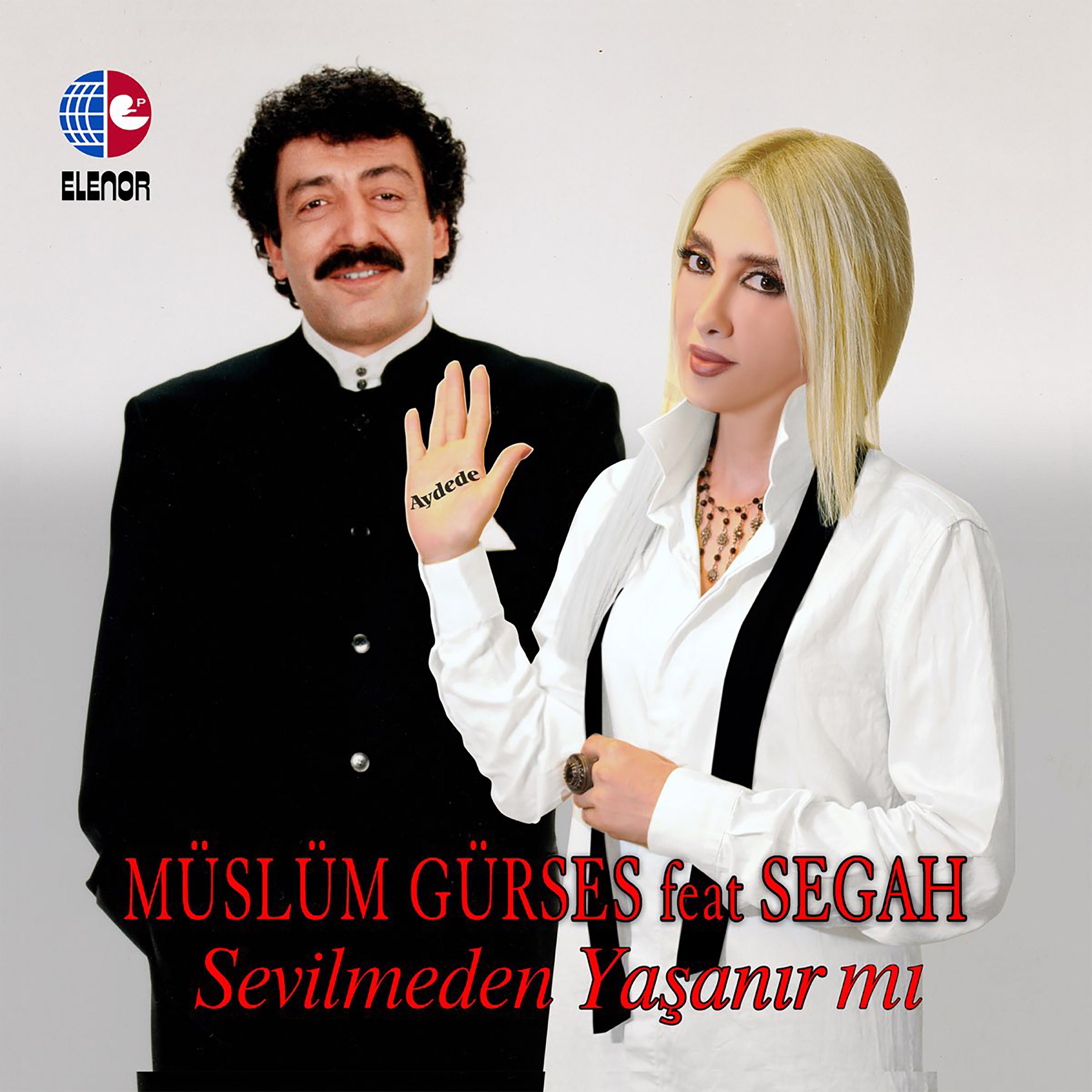 Постер альбома Sevilmeden Yaşanır Mı