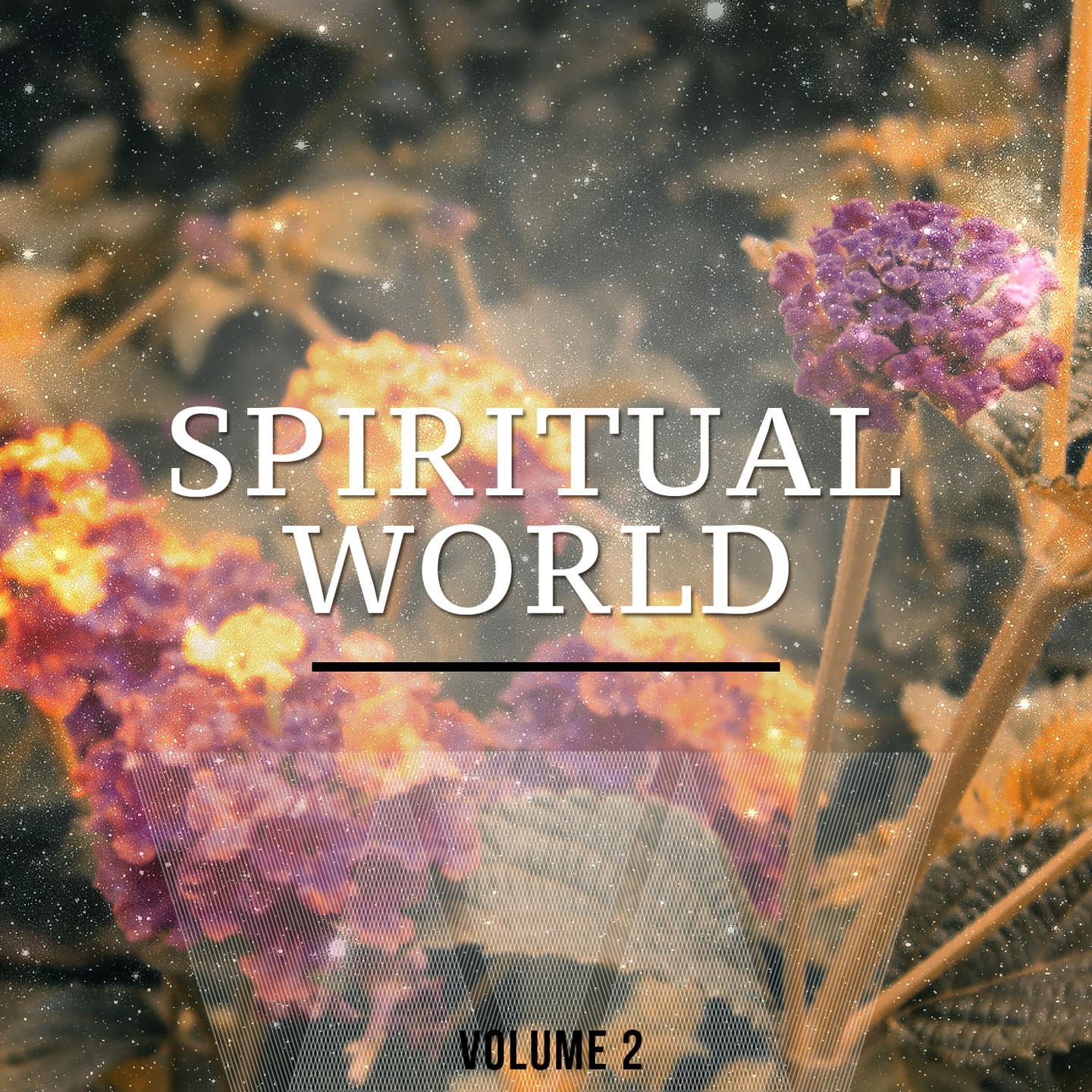 Постер альбома Spiritual World, Vol. 2
