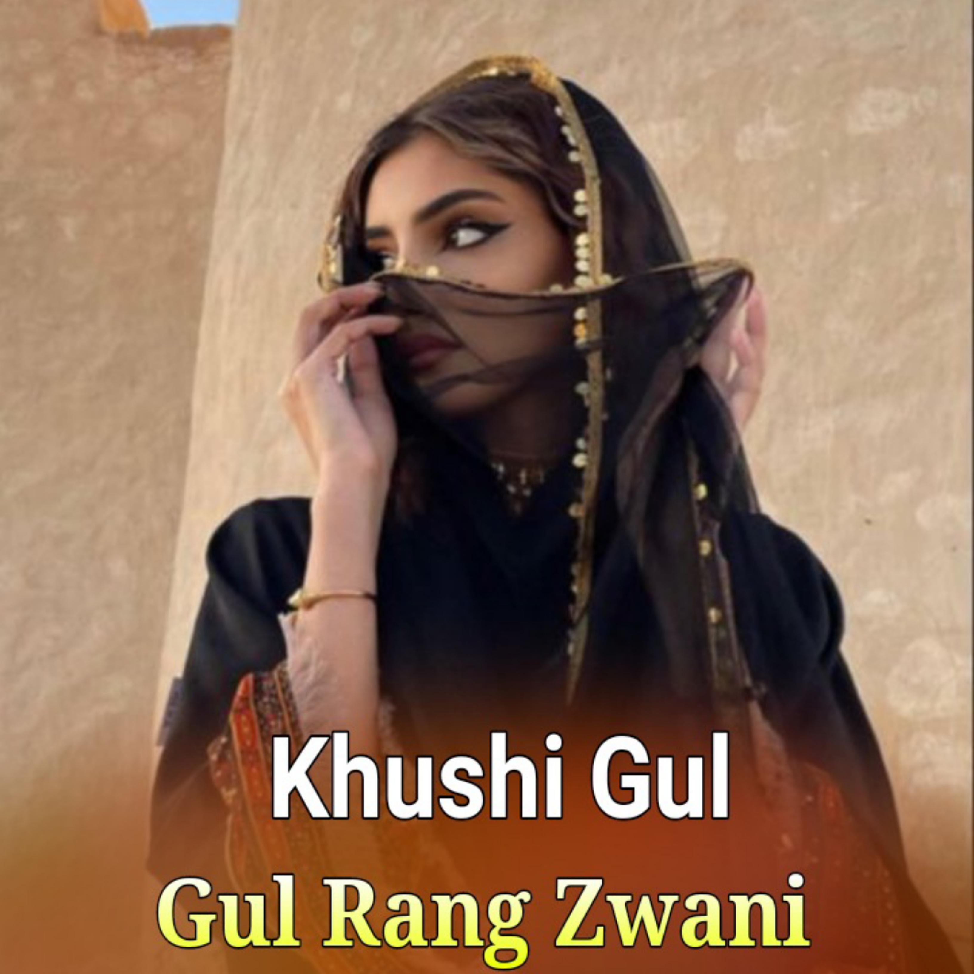 Постер альбома Gul Rang Zwani