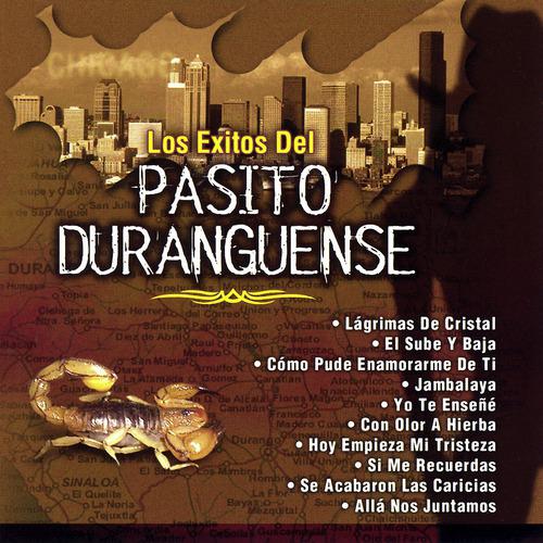 Постер альбома Los Exitos Del Pasito Duranguense