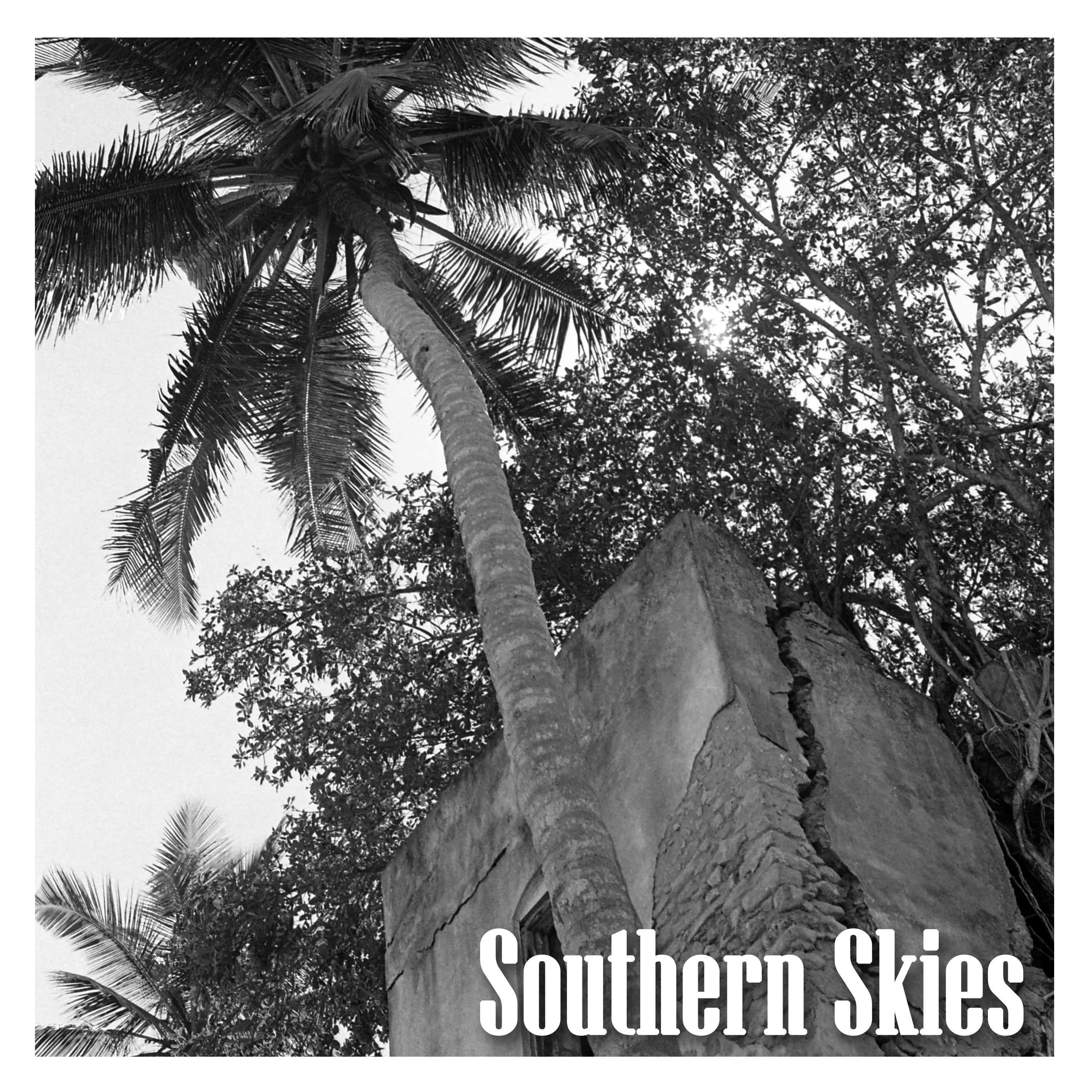 Постер альбома Southern Skies